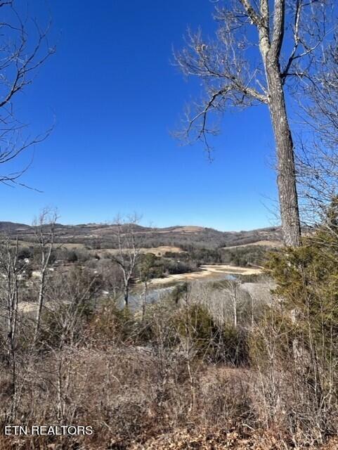 Norris Lake Real Estate - Image# 13