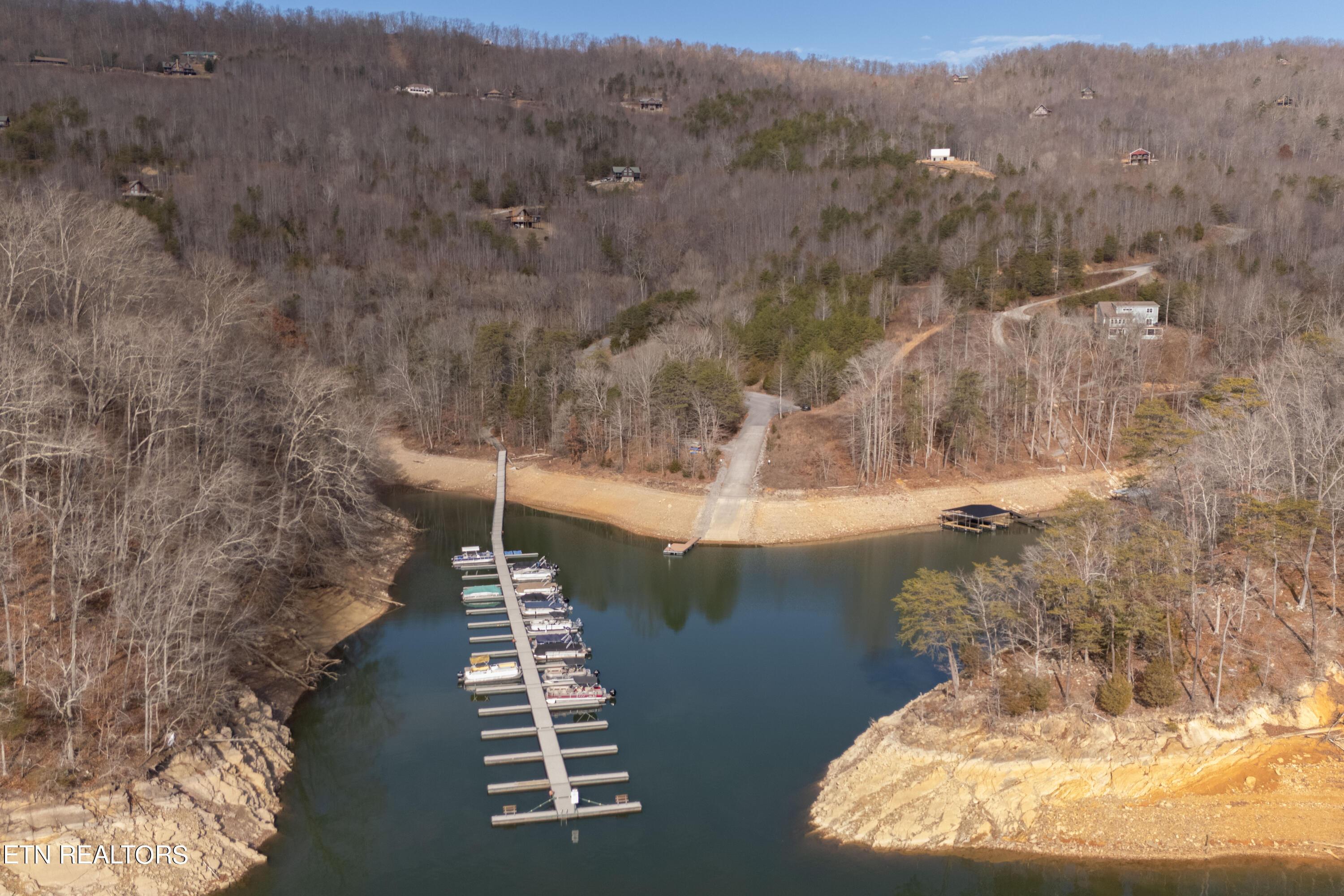 Norris Lake Real Estate - Image# 5