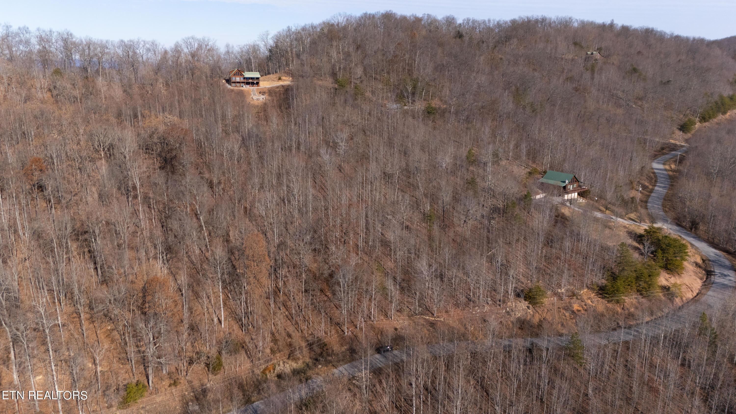 Norris Lake Real Estate - Image# 11