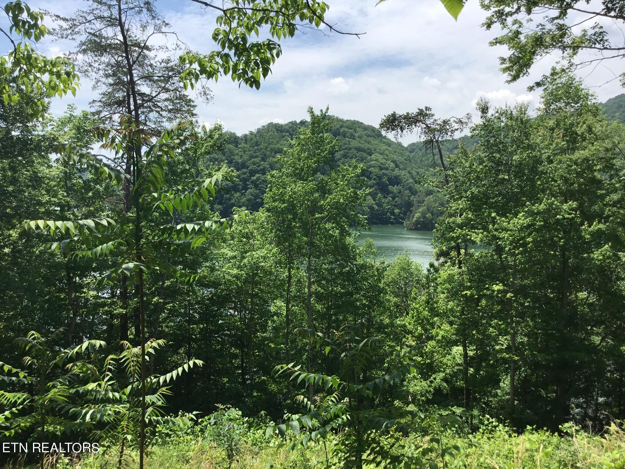 Norris Lake Real Estate - Image# 1