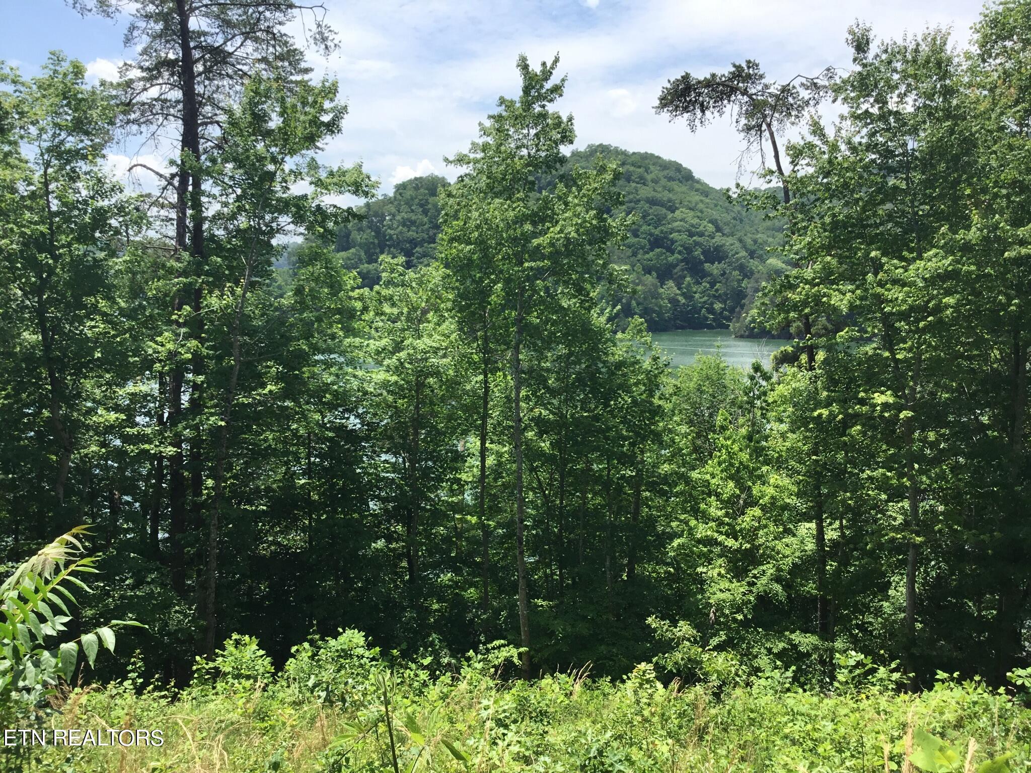 Norris Lake Real Estate - Image# 3