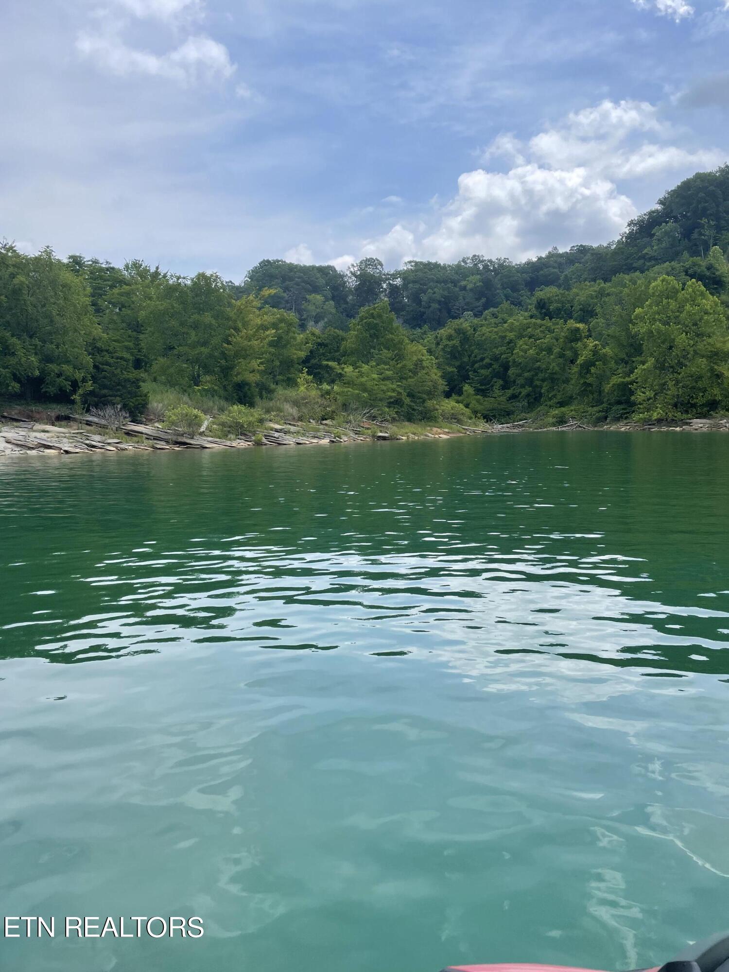 Norris Lake Real Estate - Image# 2