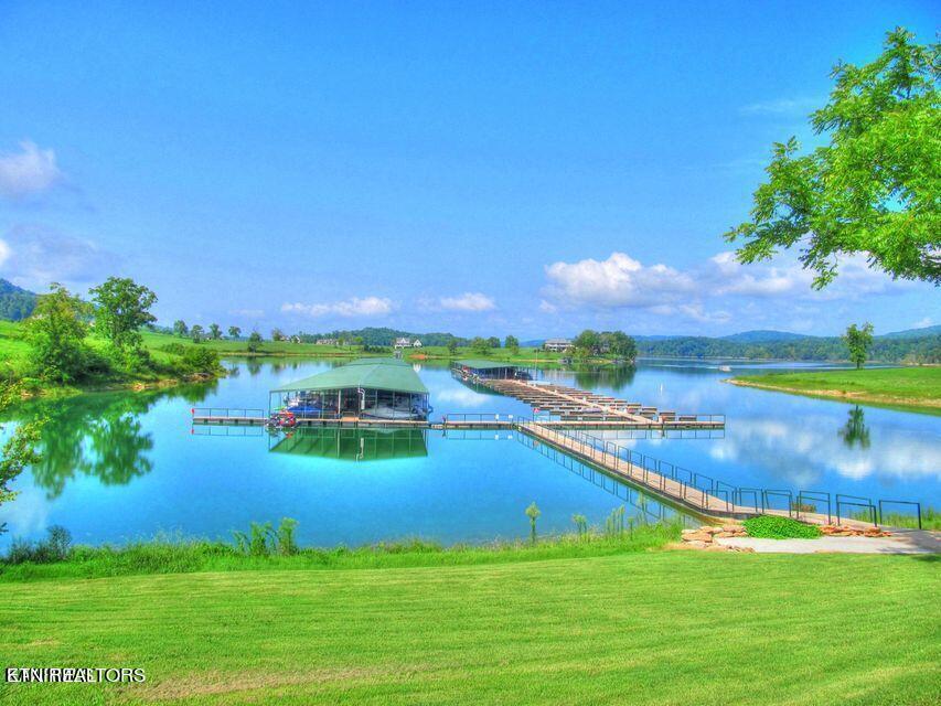 Norris Lake Real Estate - Image# 11