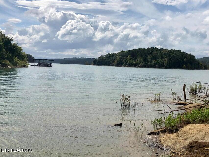 Norris Lake Real Estate - Image# 7