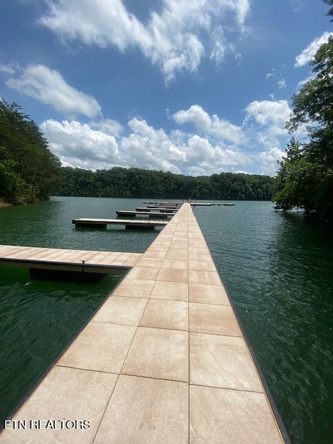 Norris Lake Real Estate - Image# 6