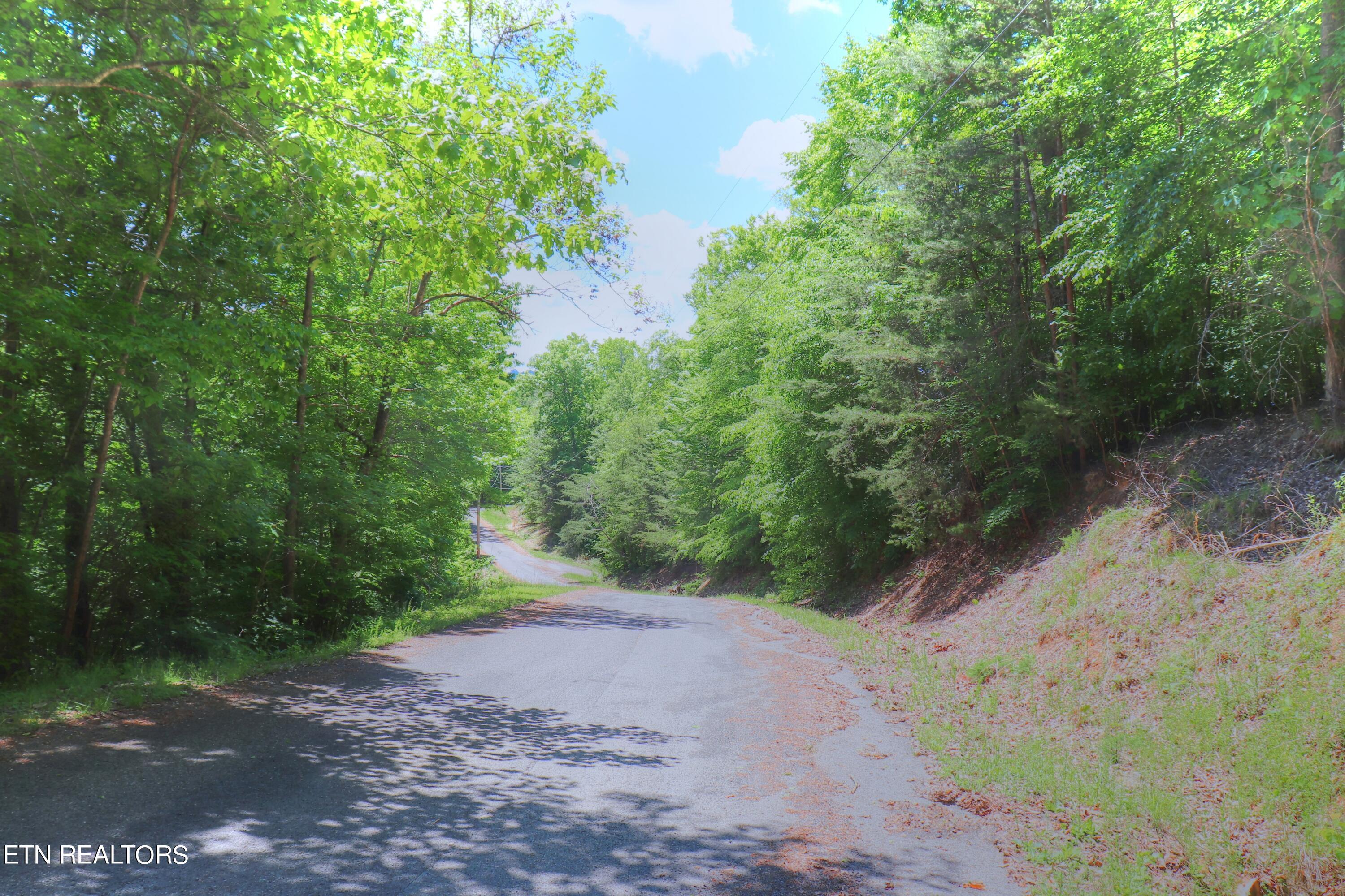 Norris Lake Real Estate - Image# 15