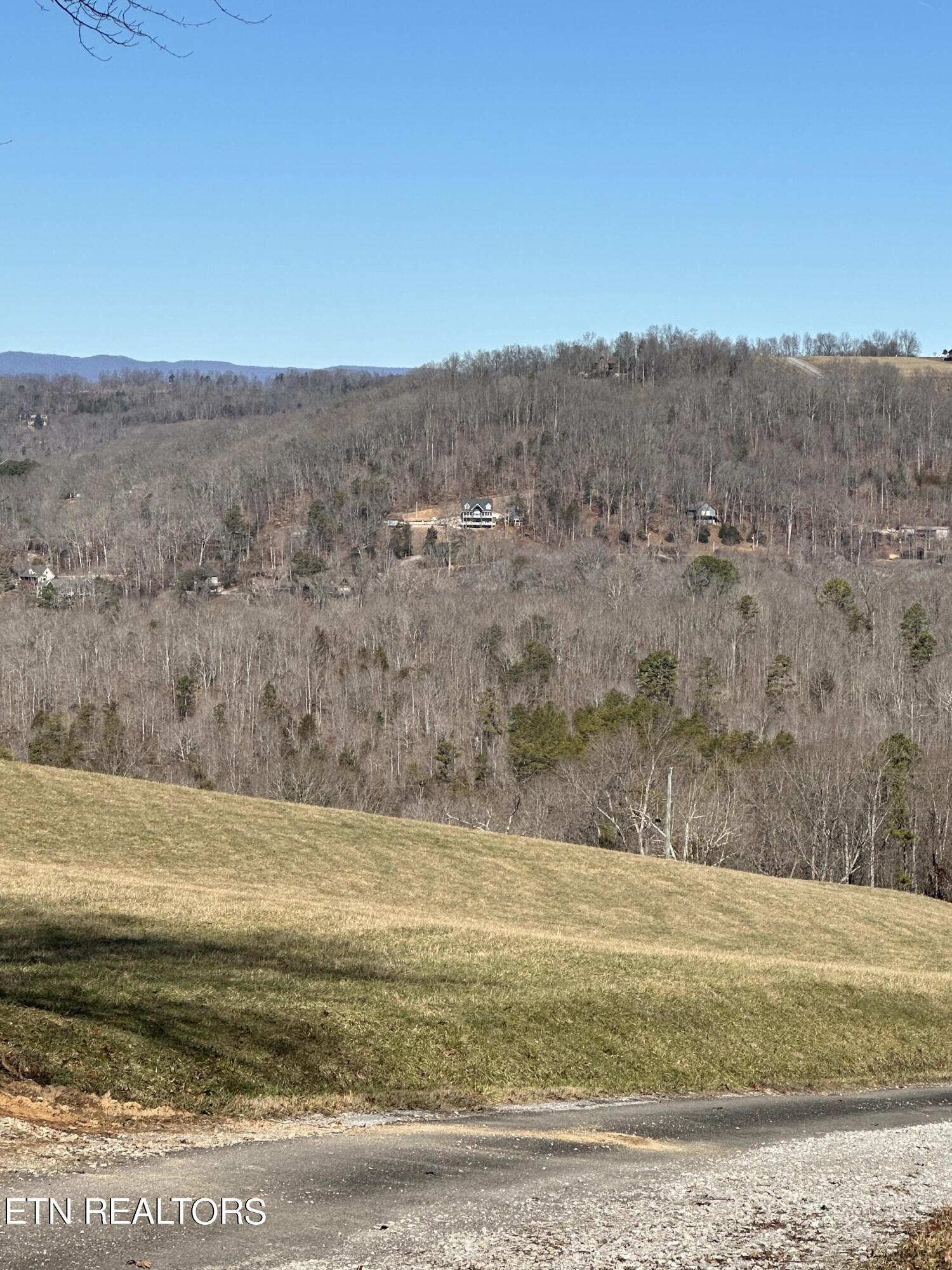 Norris Lake Real Estate - Image# 5