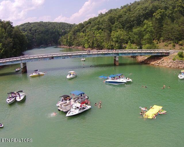 Norris Lake Real Estate - Image# 8