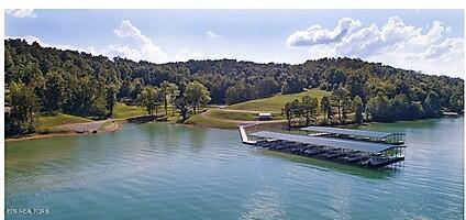 Norris Lake Real Estate - Image# 4