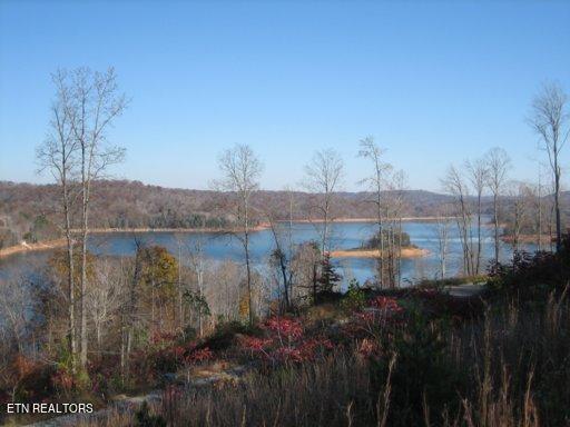 Norris Lake Real Estate - Image# 5