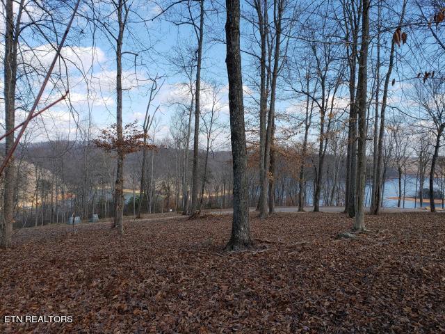 Norris Lake Real Estate - Image# 9