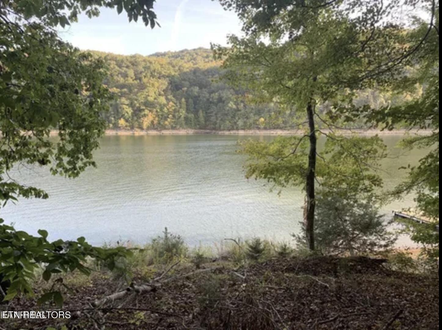 Norris Lake Real Estate - Image# 1