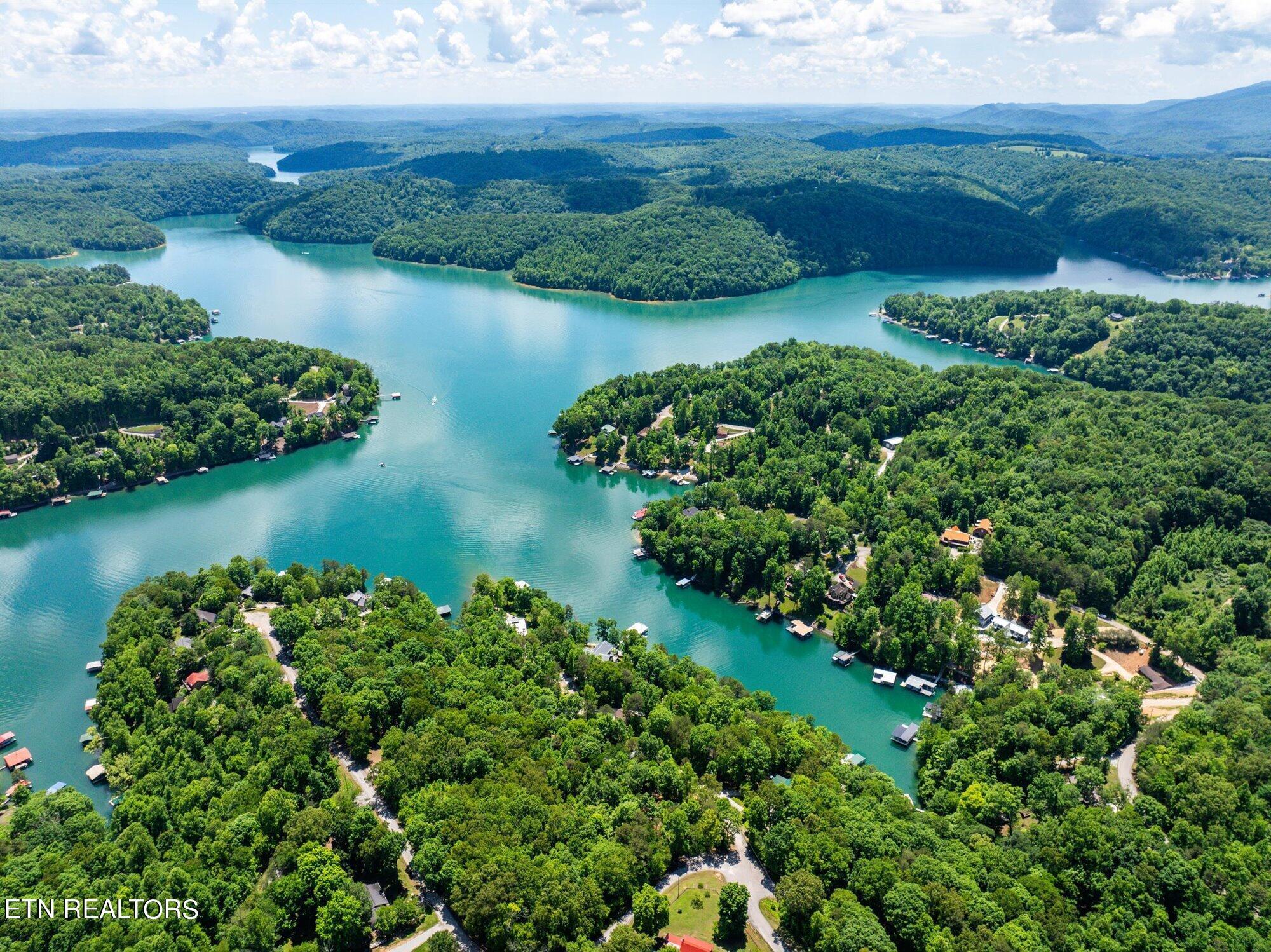 Norris Lake Real Estate - Image# 4