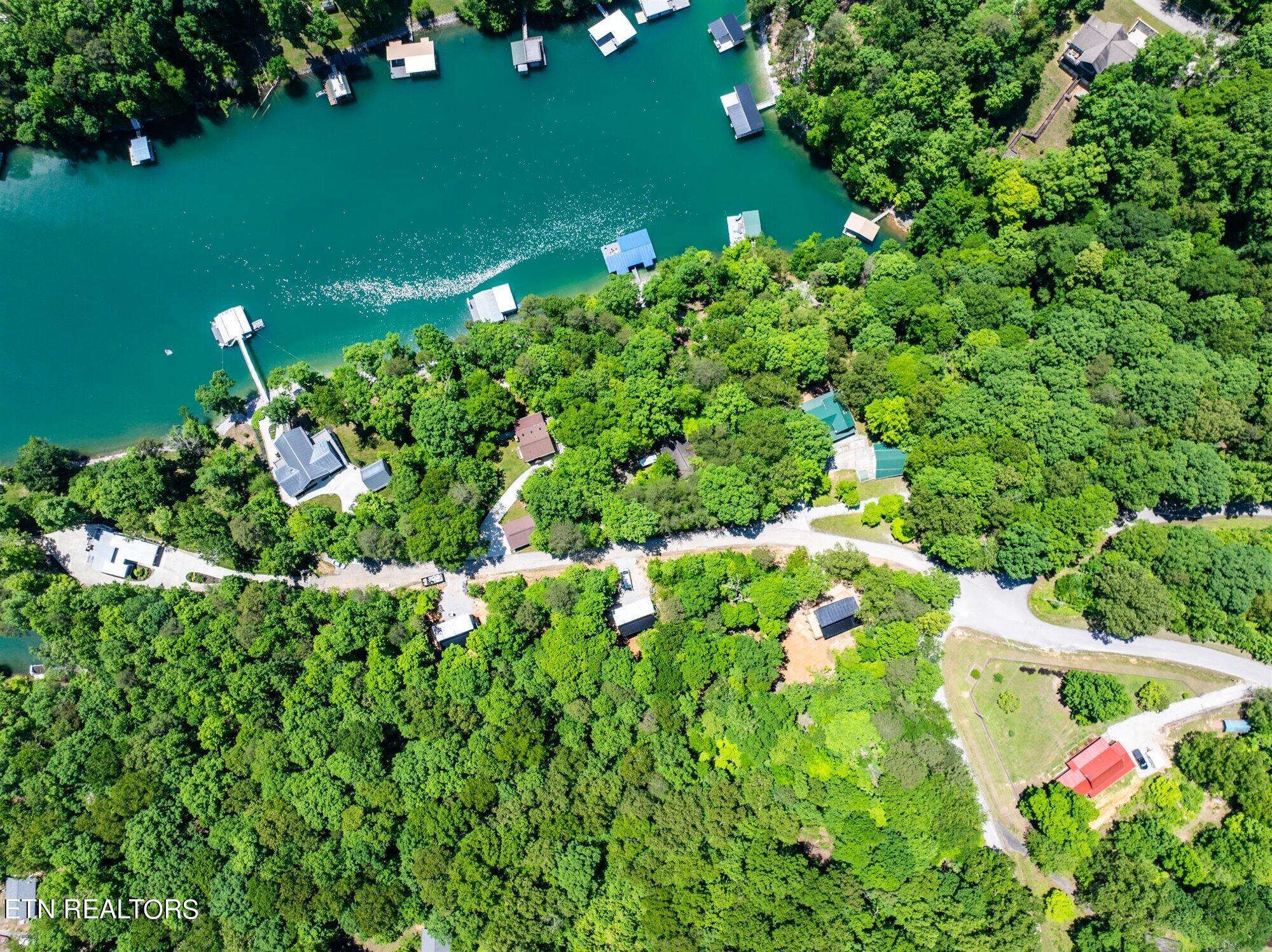 Norris Lake Real Estate - Image# 4