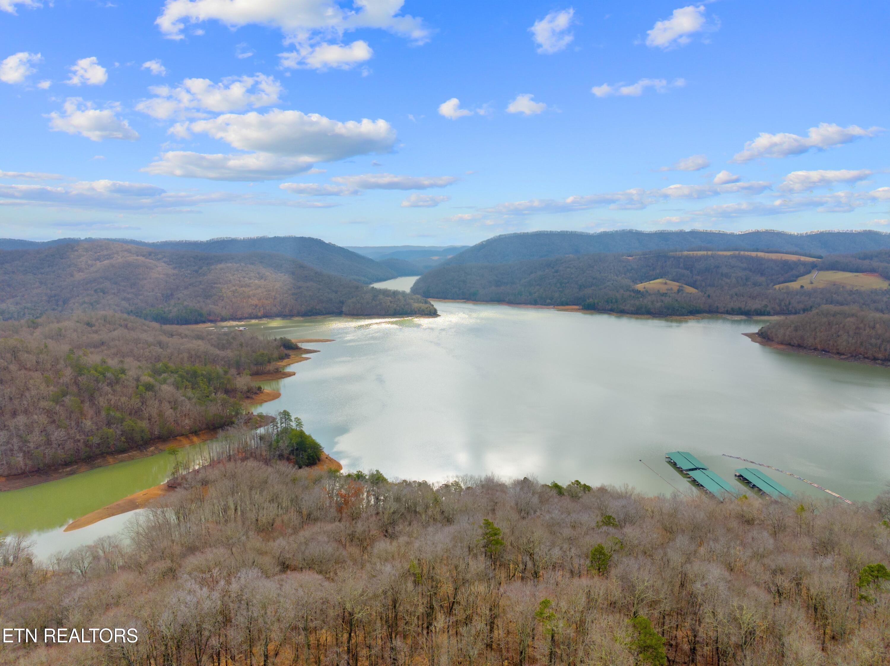 Norris Lake Real Estate - Image# 6