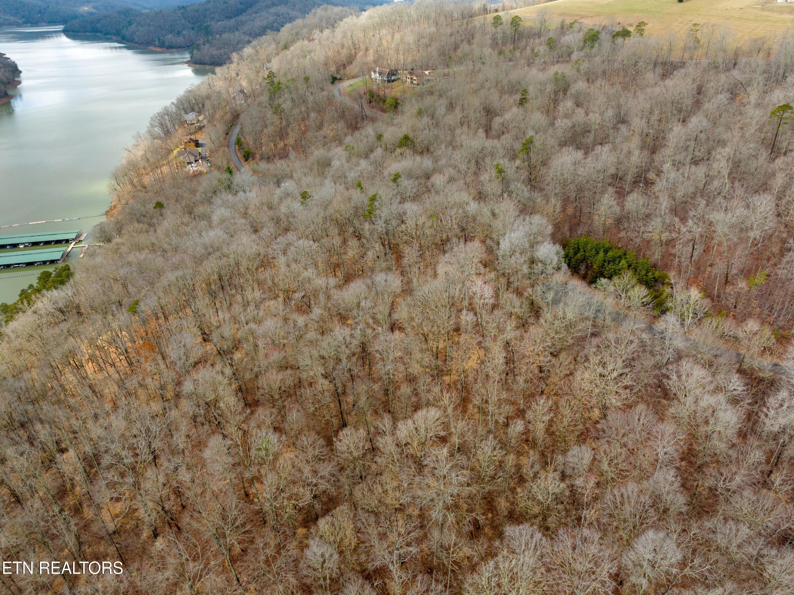 Norris Lake Real Estate - Image# 15