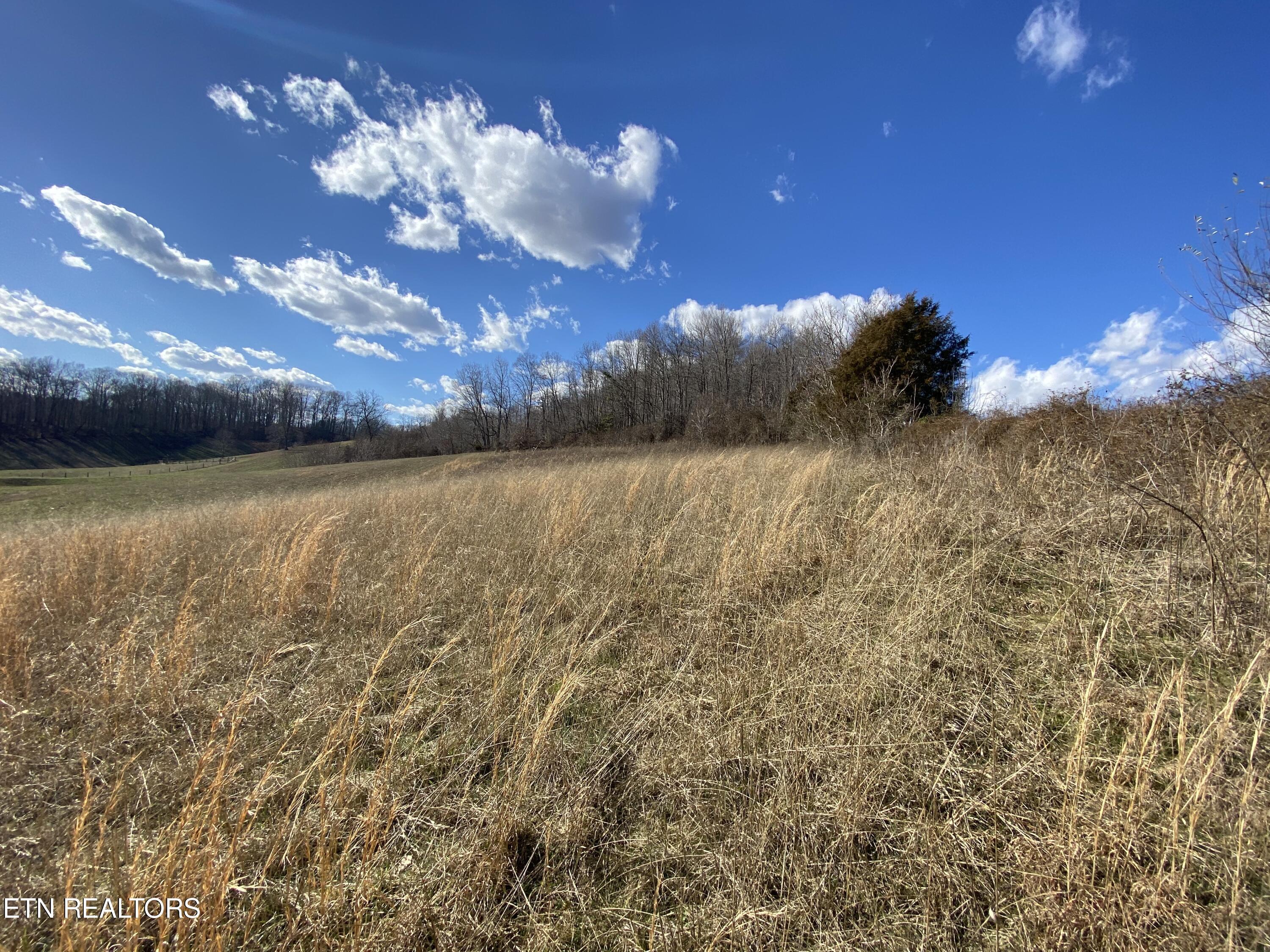 Norris Lake Real Estate - Image# 14