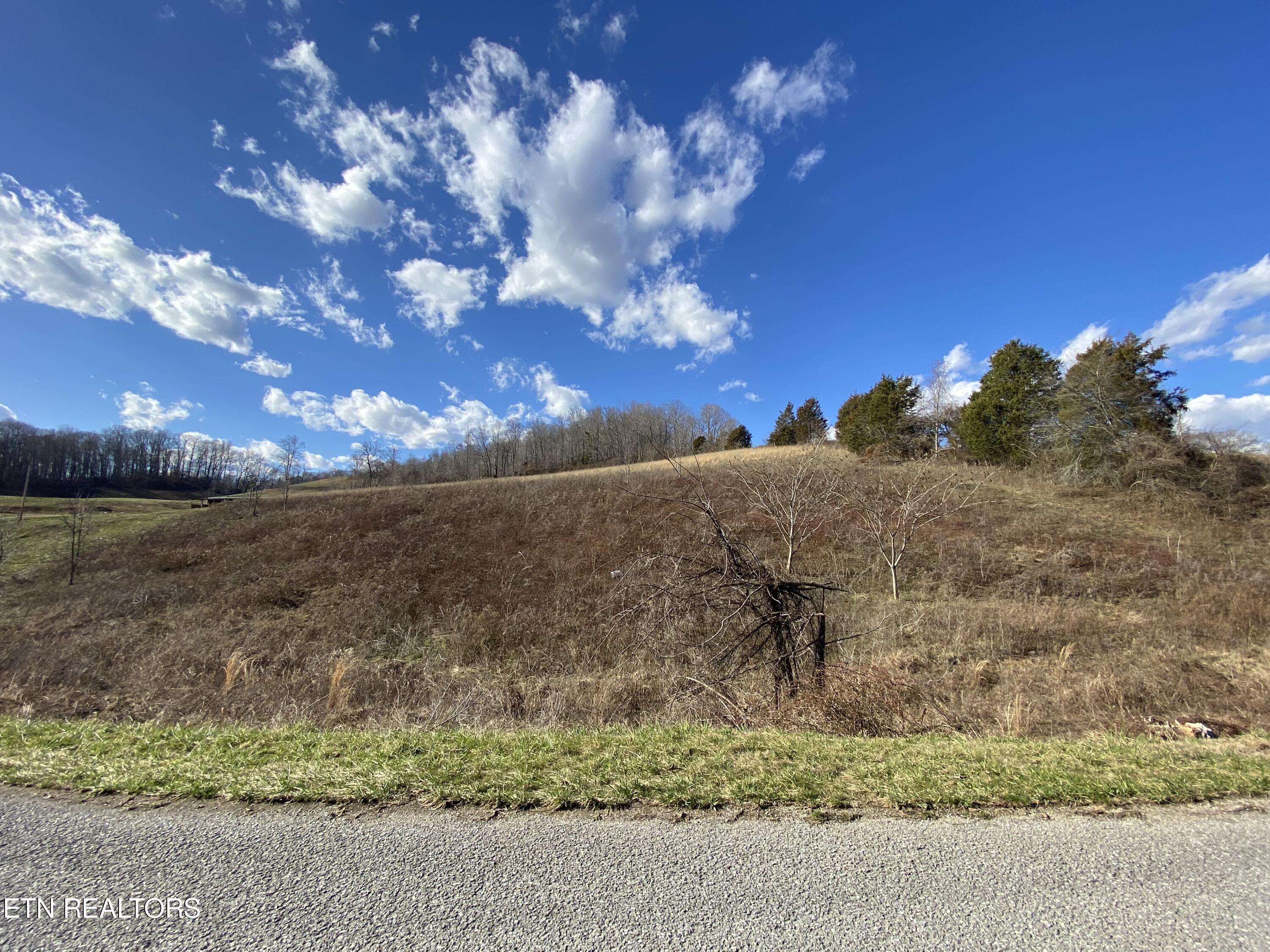 Norris Lake Real Estate - Image# 26