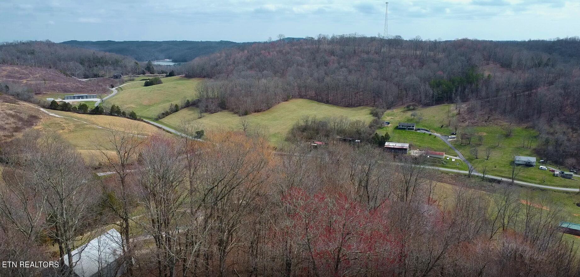 Norris Lake Real Estate - Image# 5