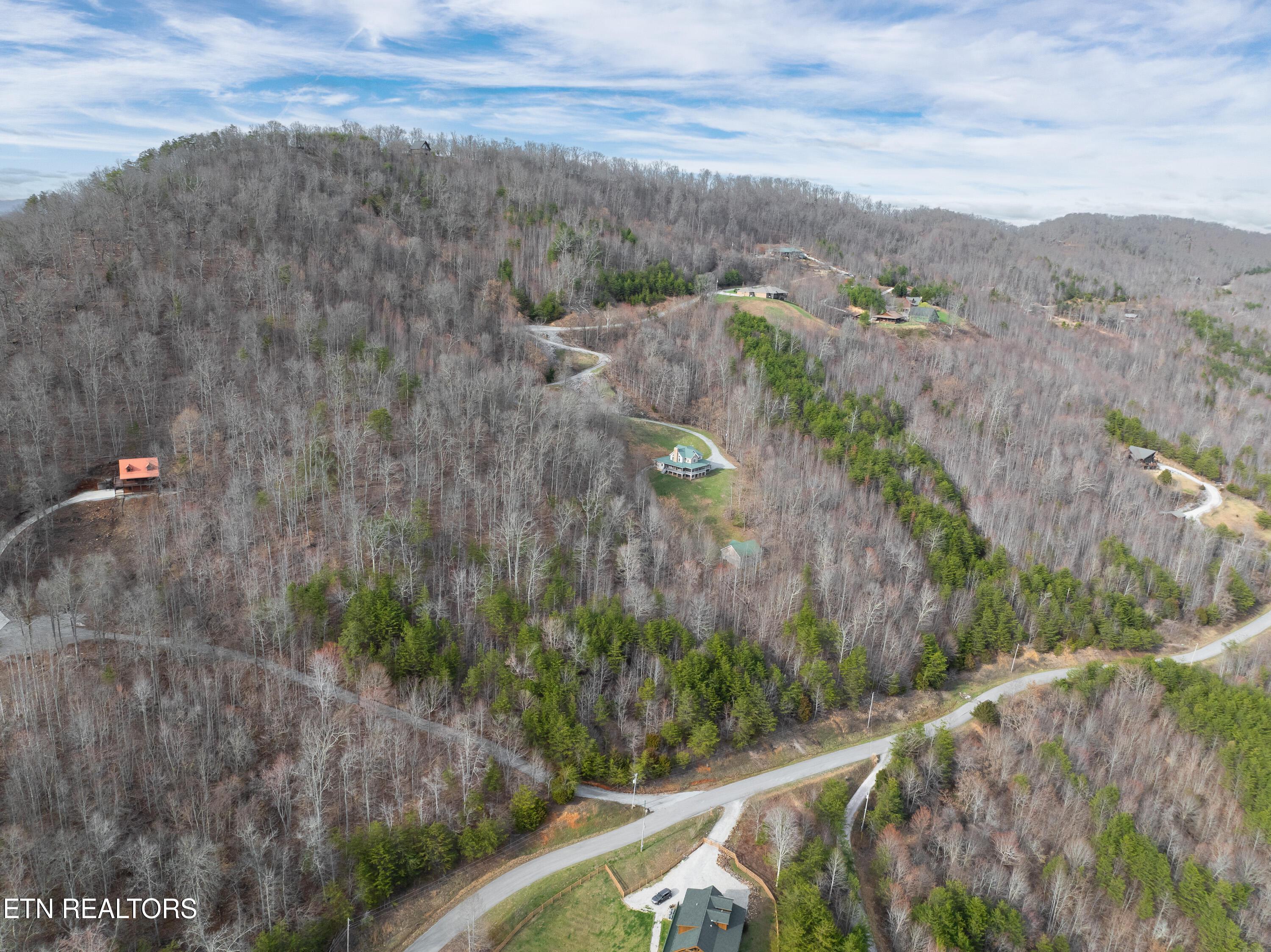 Norris Lake Real Estate - Image# 44