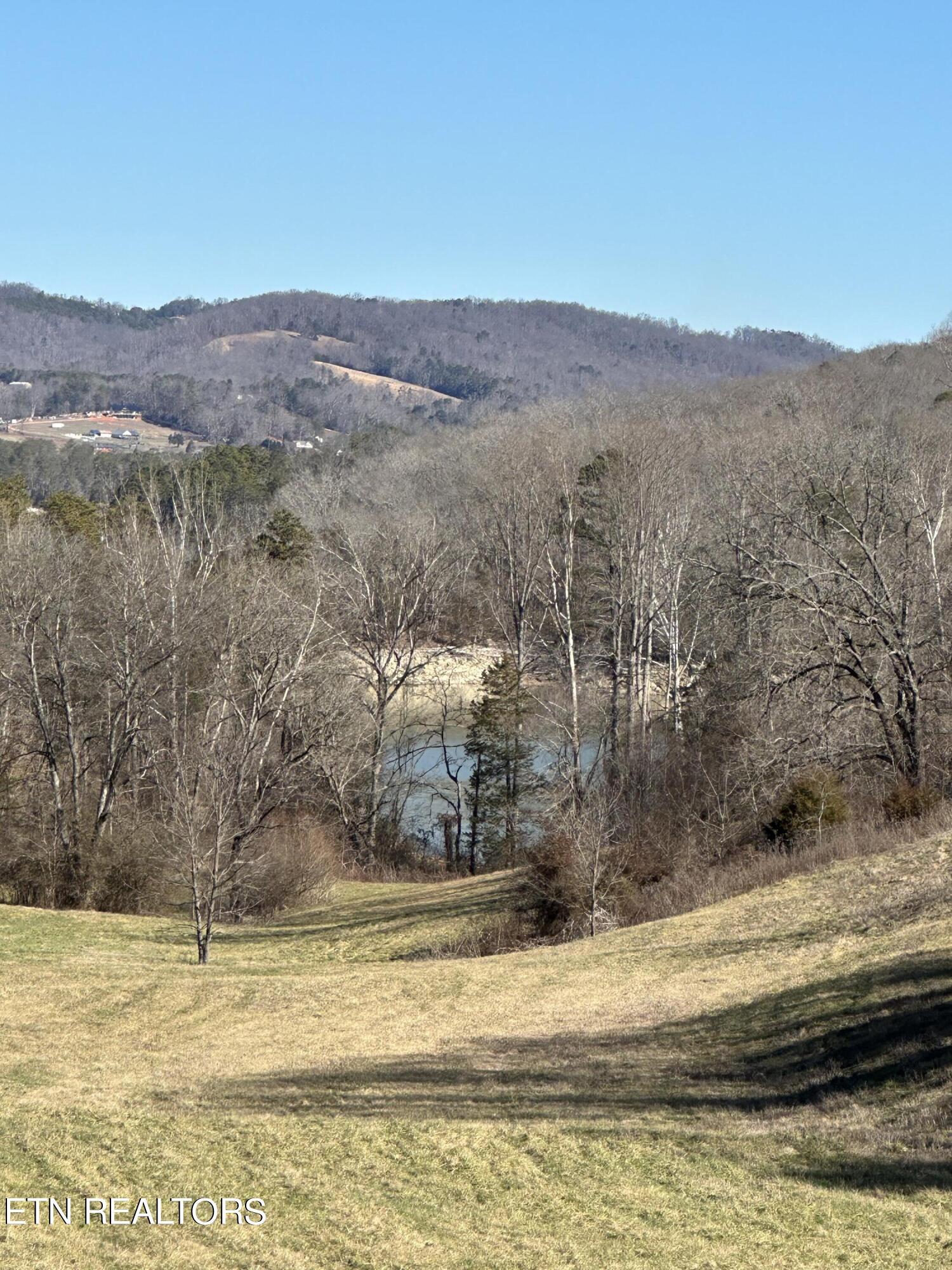 Norris Lake Real Estate - Image# 1