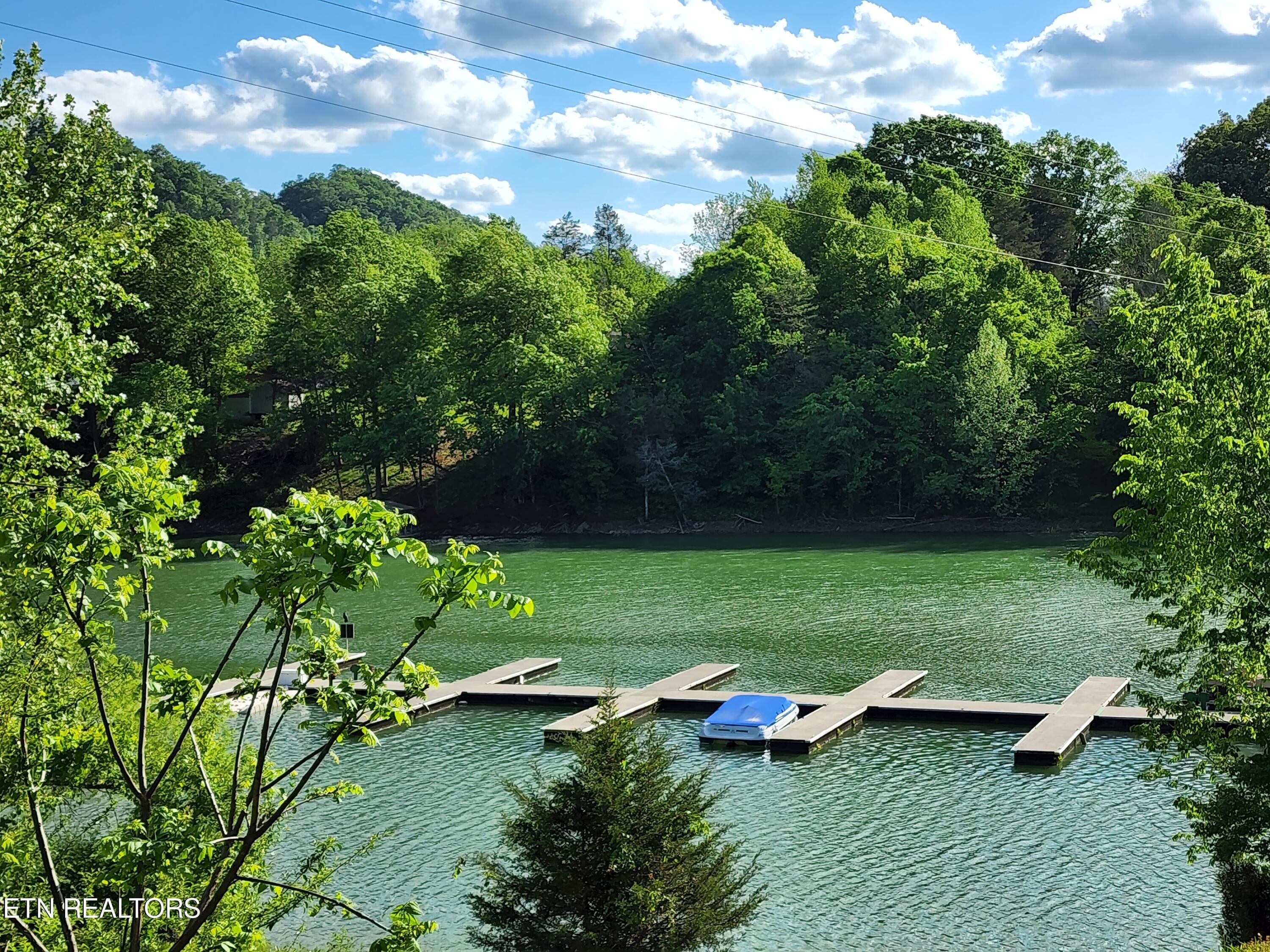 Norris Lake Real Estate - Image# 24