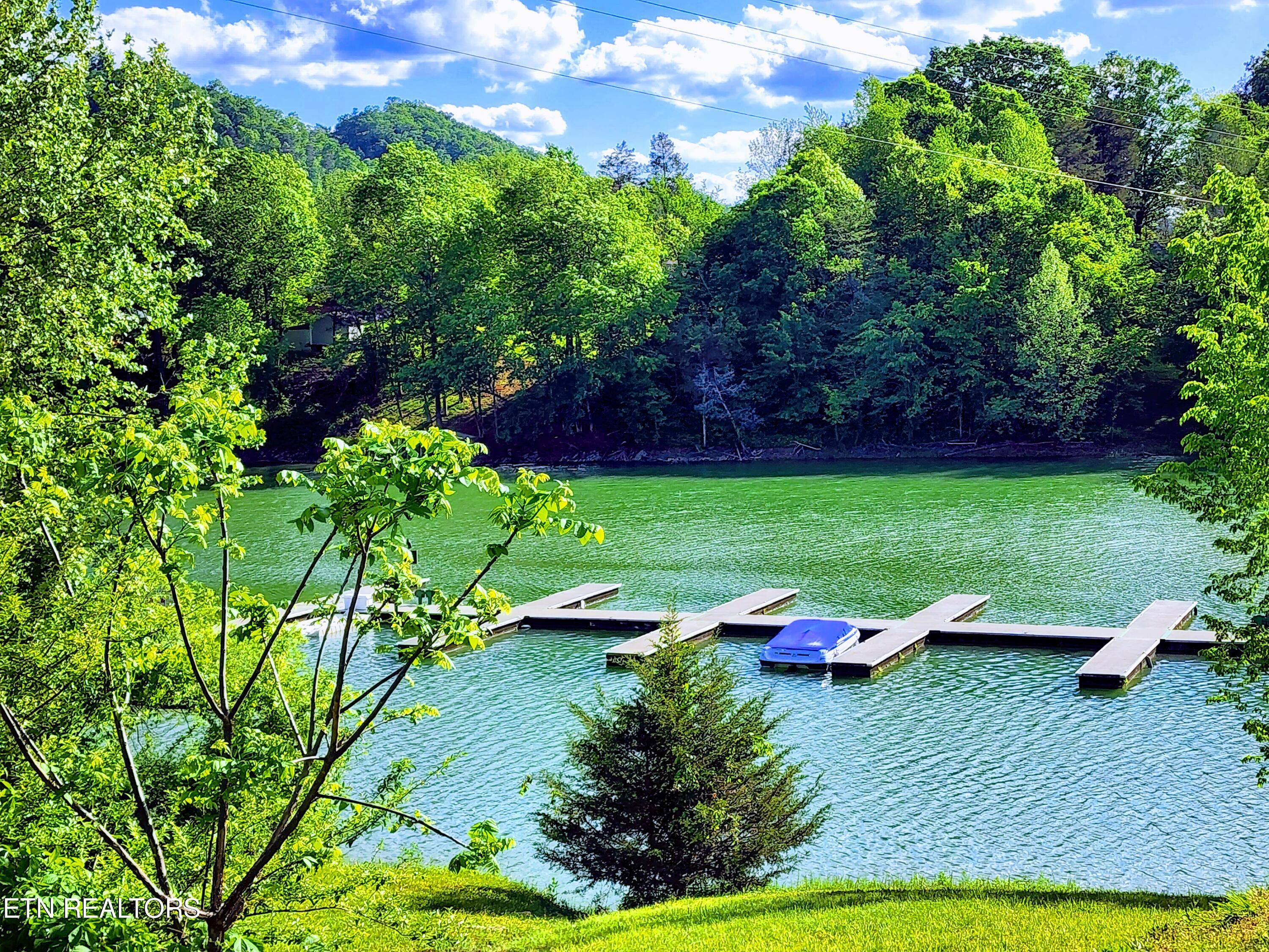 Norris Lake Real Estate - Image# 26