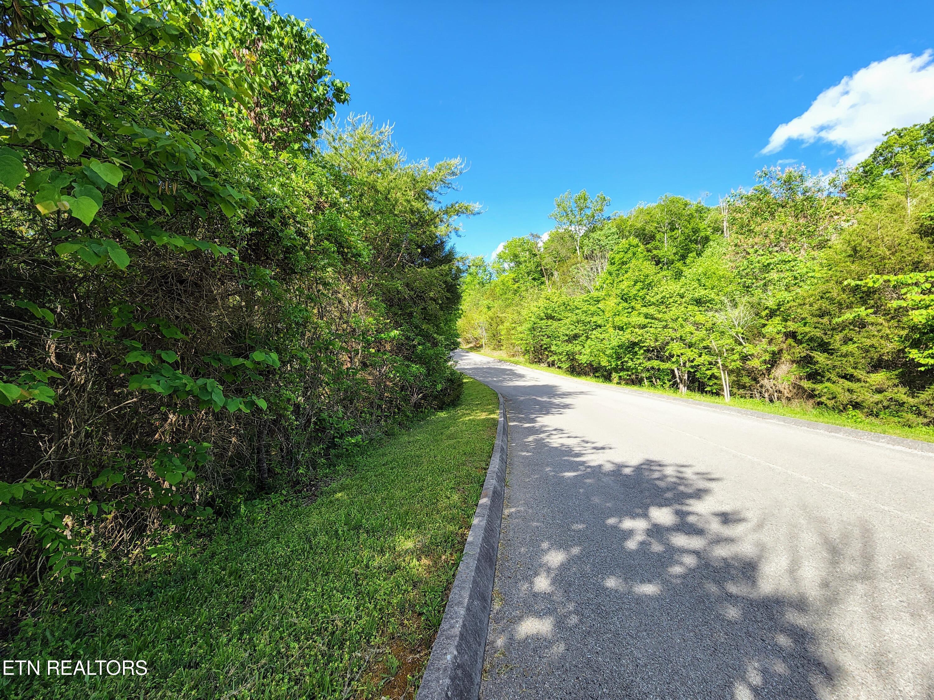 Norris Lake Real Estate - Image# 35