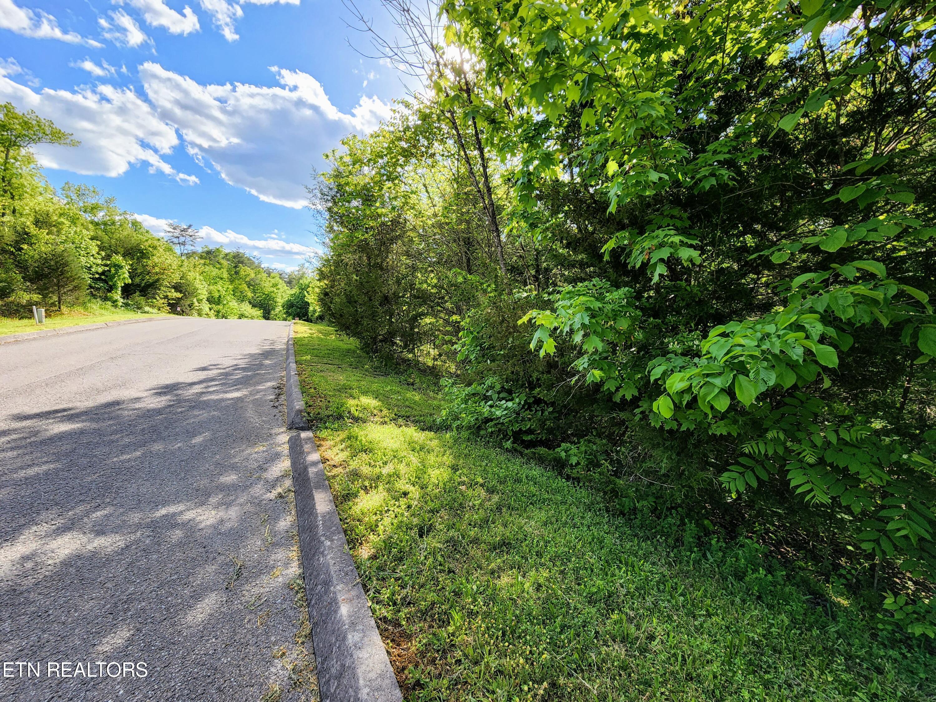 Norris Lake Real Estate - Image# 36