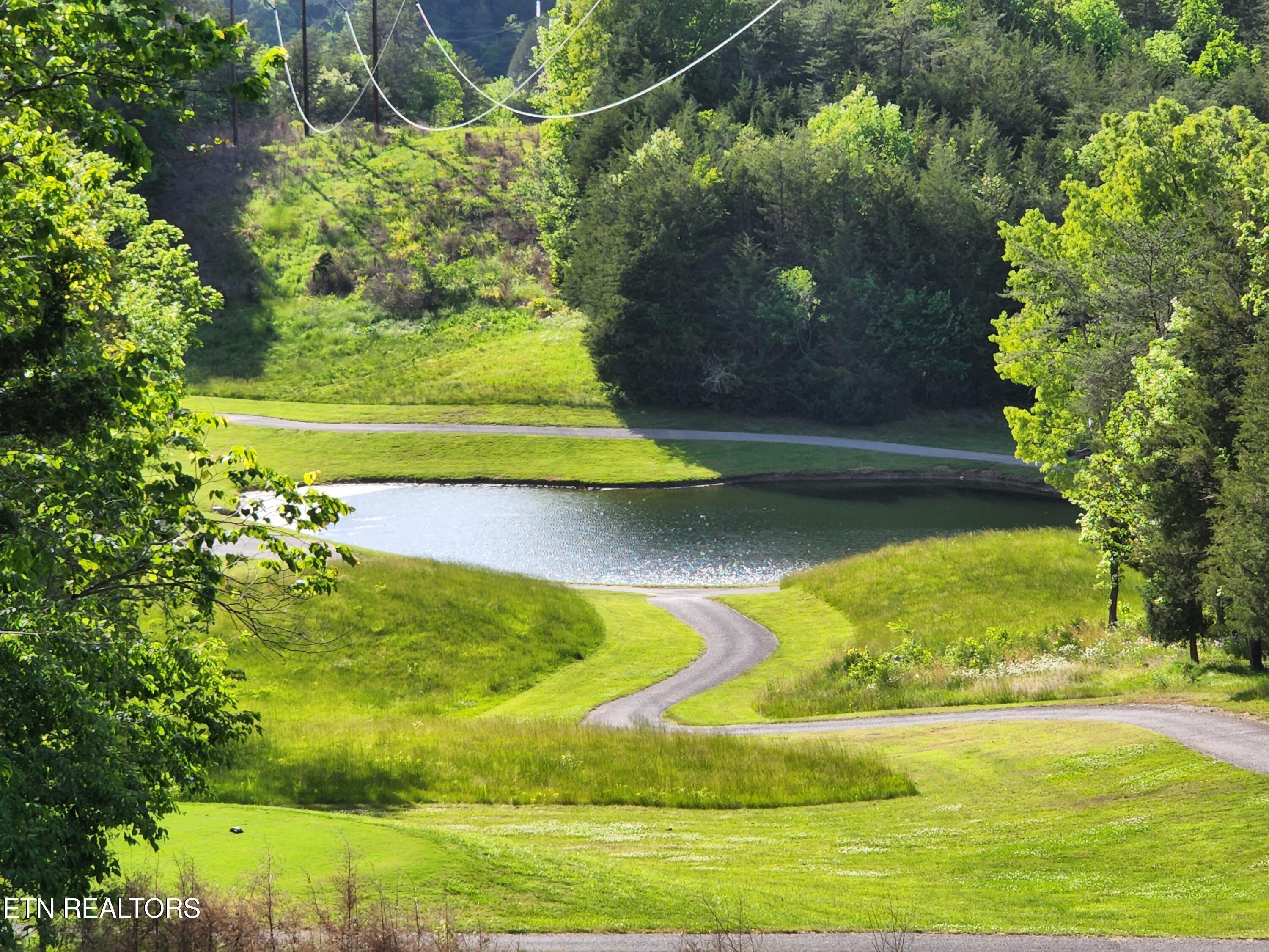 Norris Lake Real Estate - Image# 42