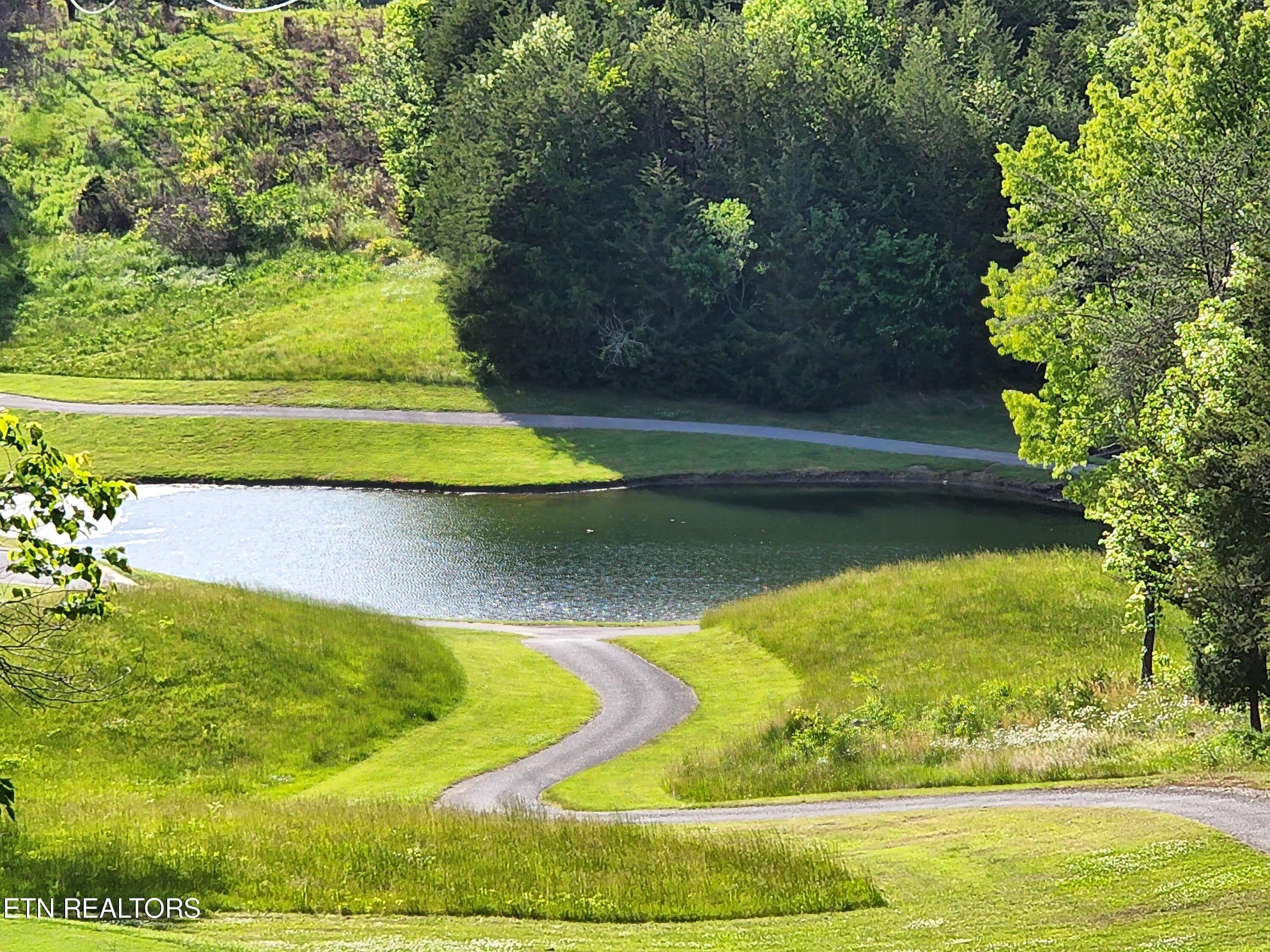 Norris Lake Real Estate - Image# 45