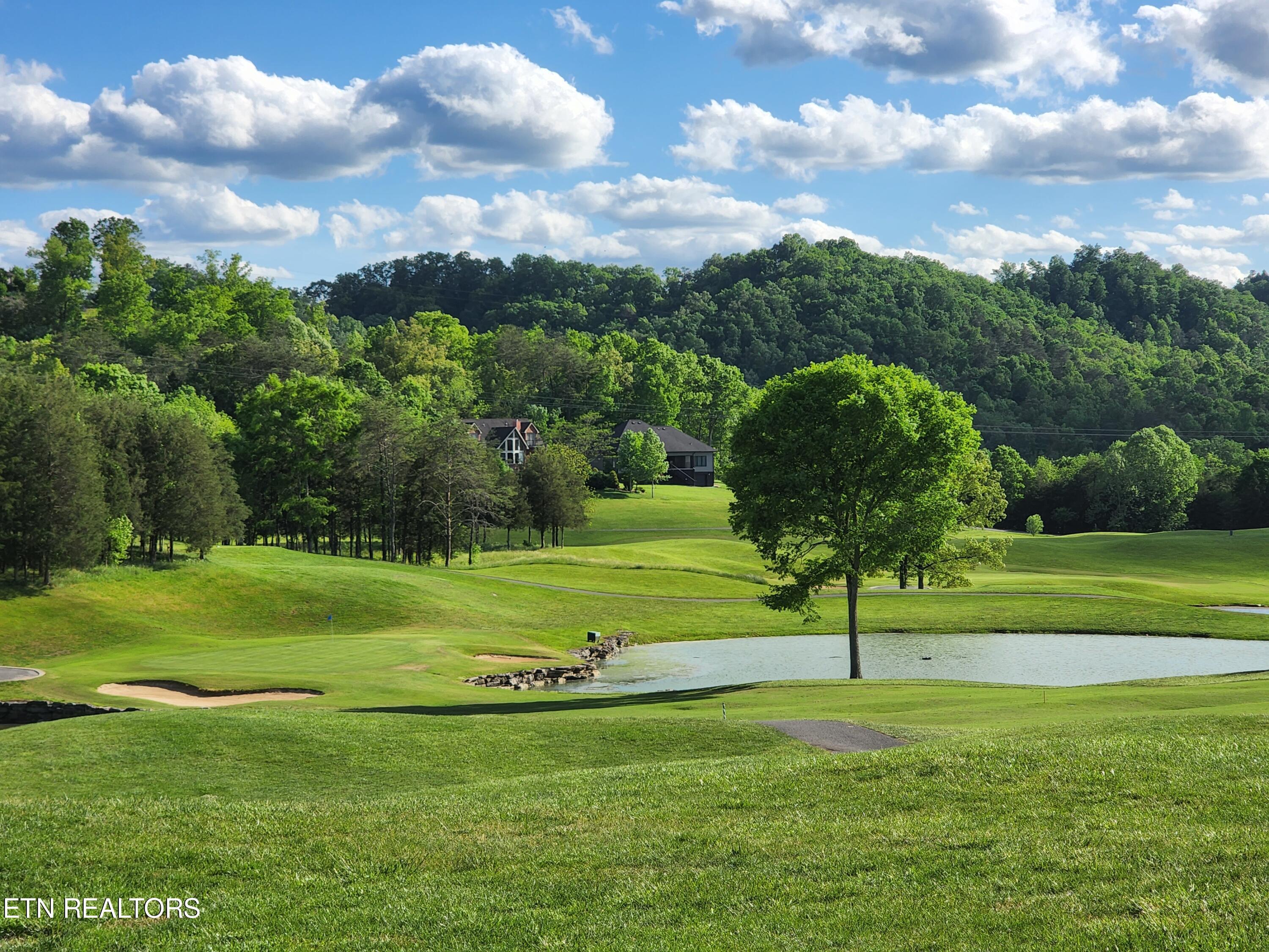 Norris Lake Real Estate - Image# 47