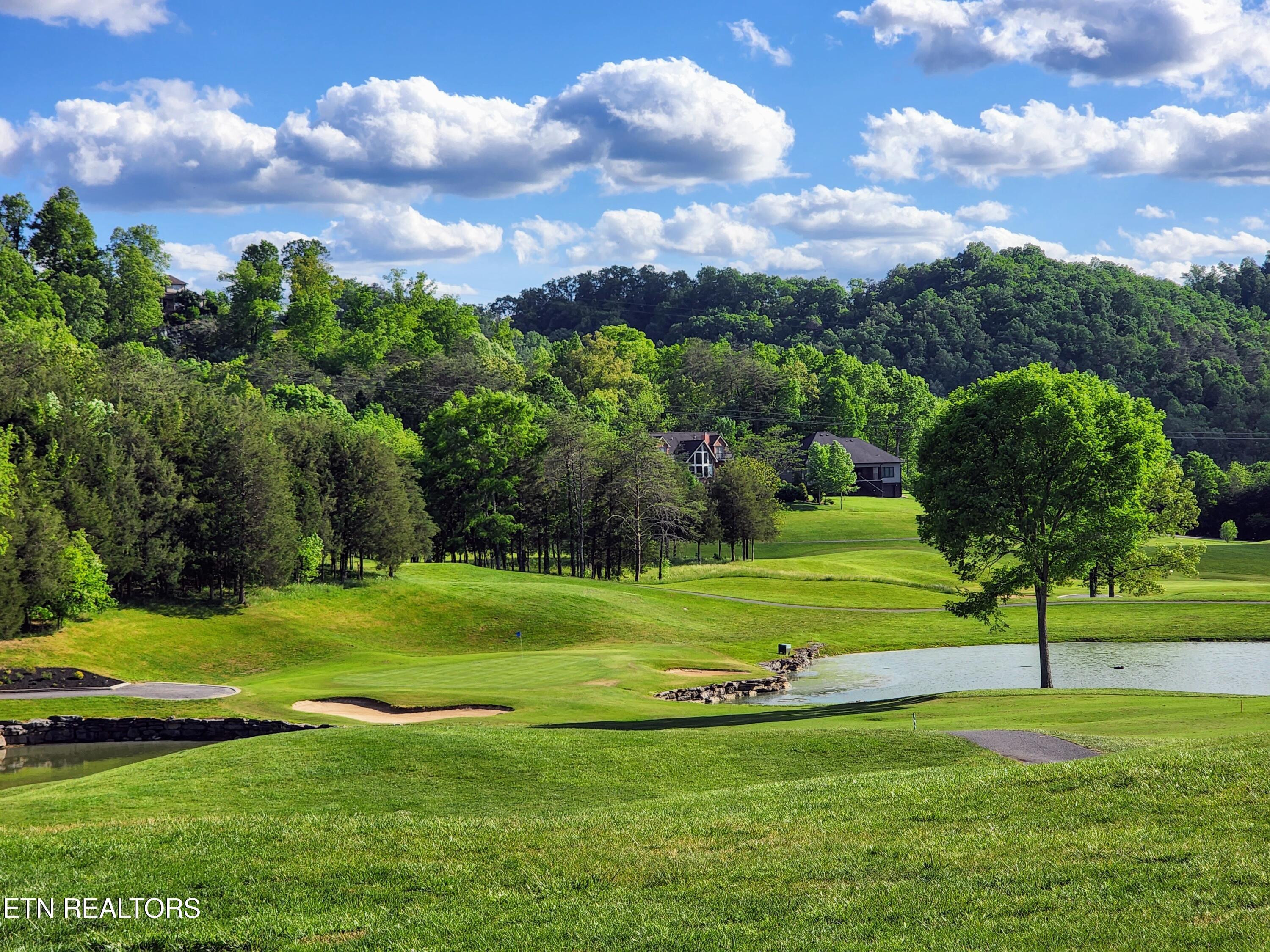 Norris Lake Real Estate - Image# 48