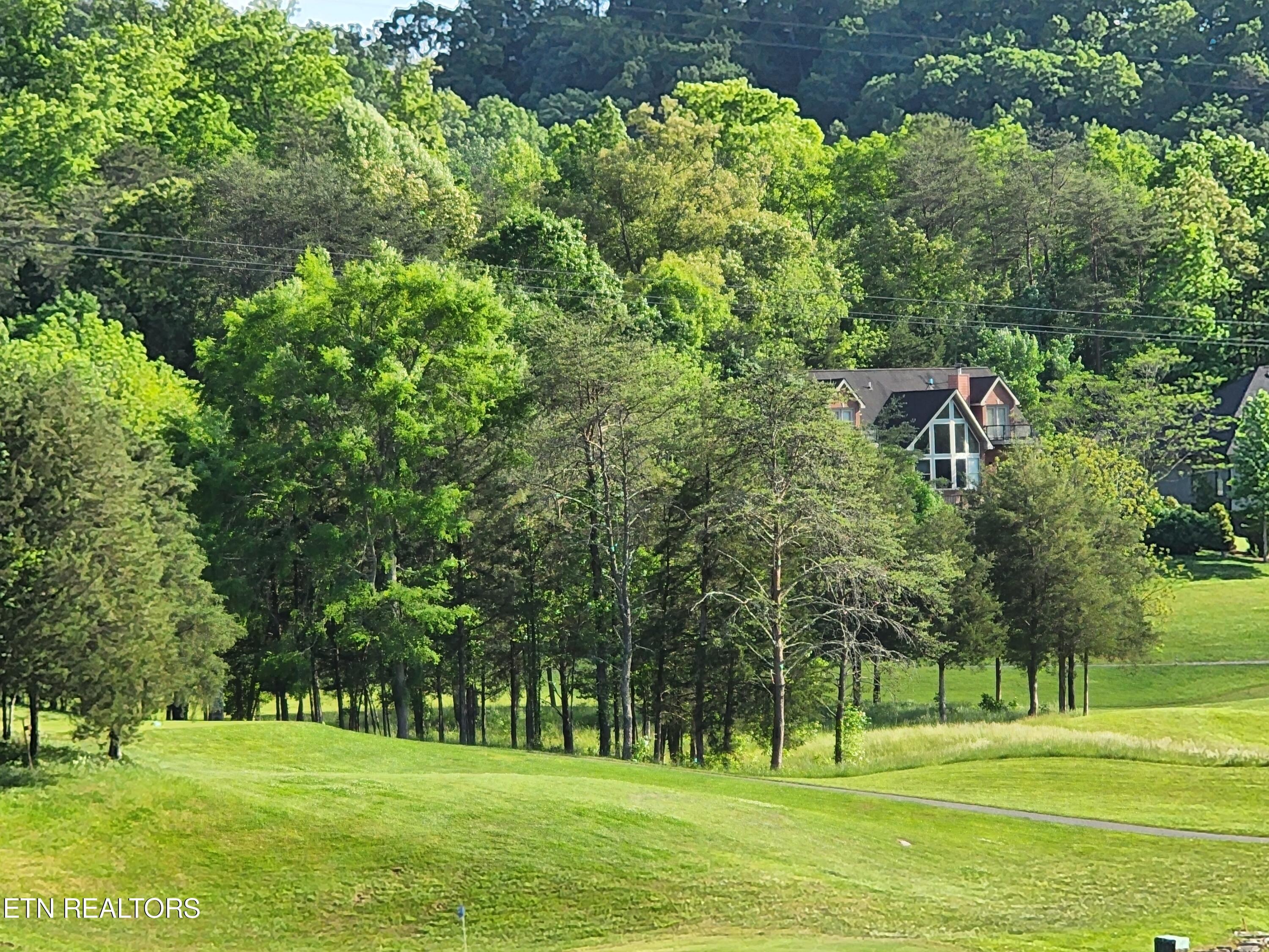 Norris Lake Real Estate - Image# 49