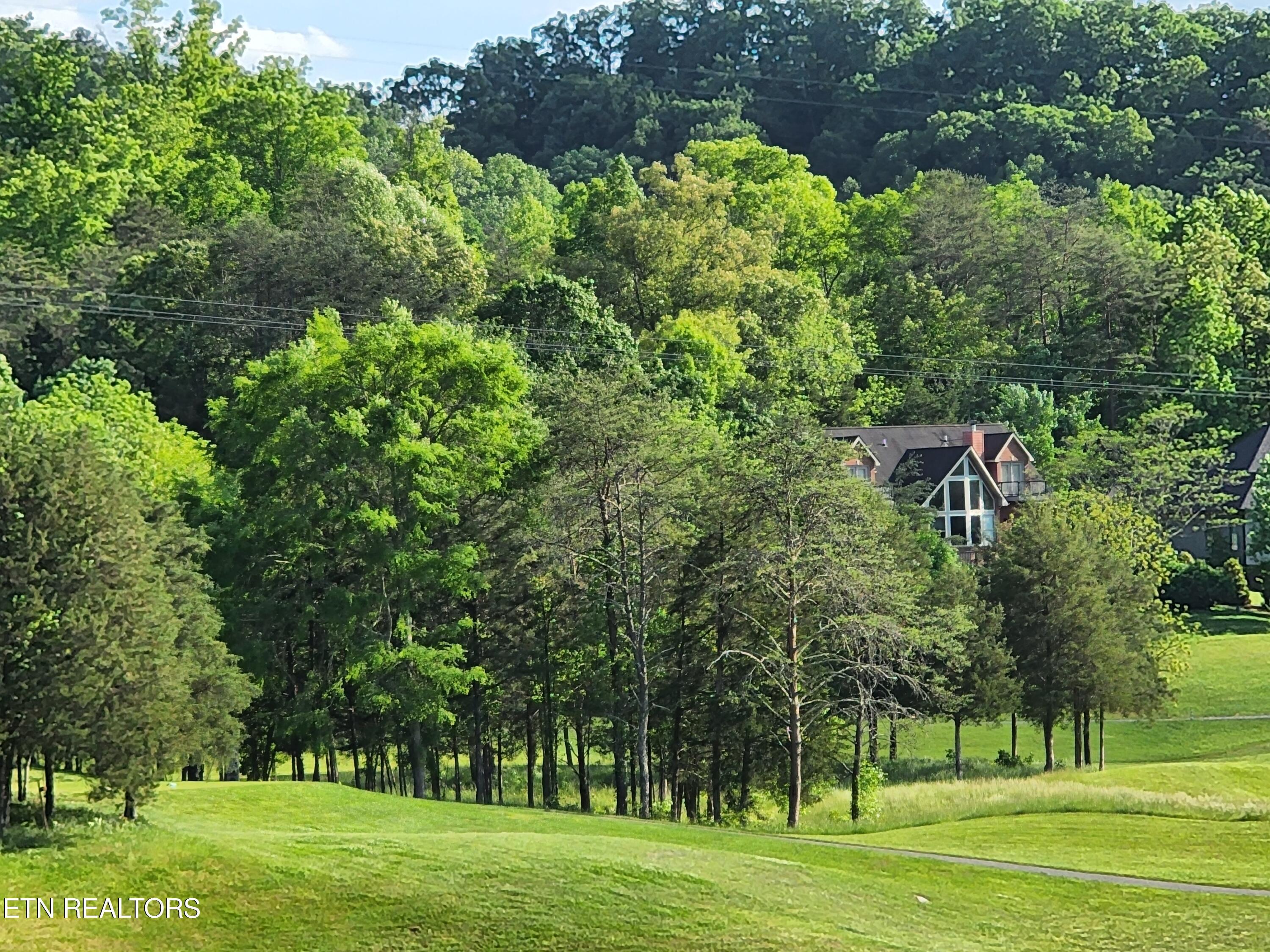 Norris Lake Real Estate - Image# 50