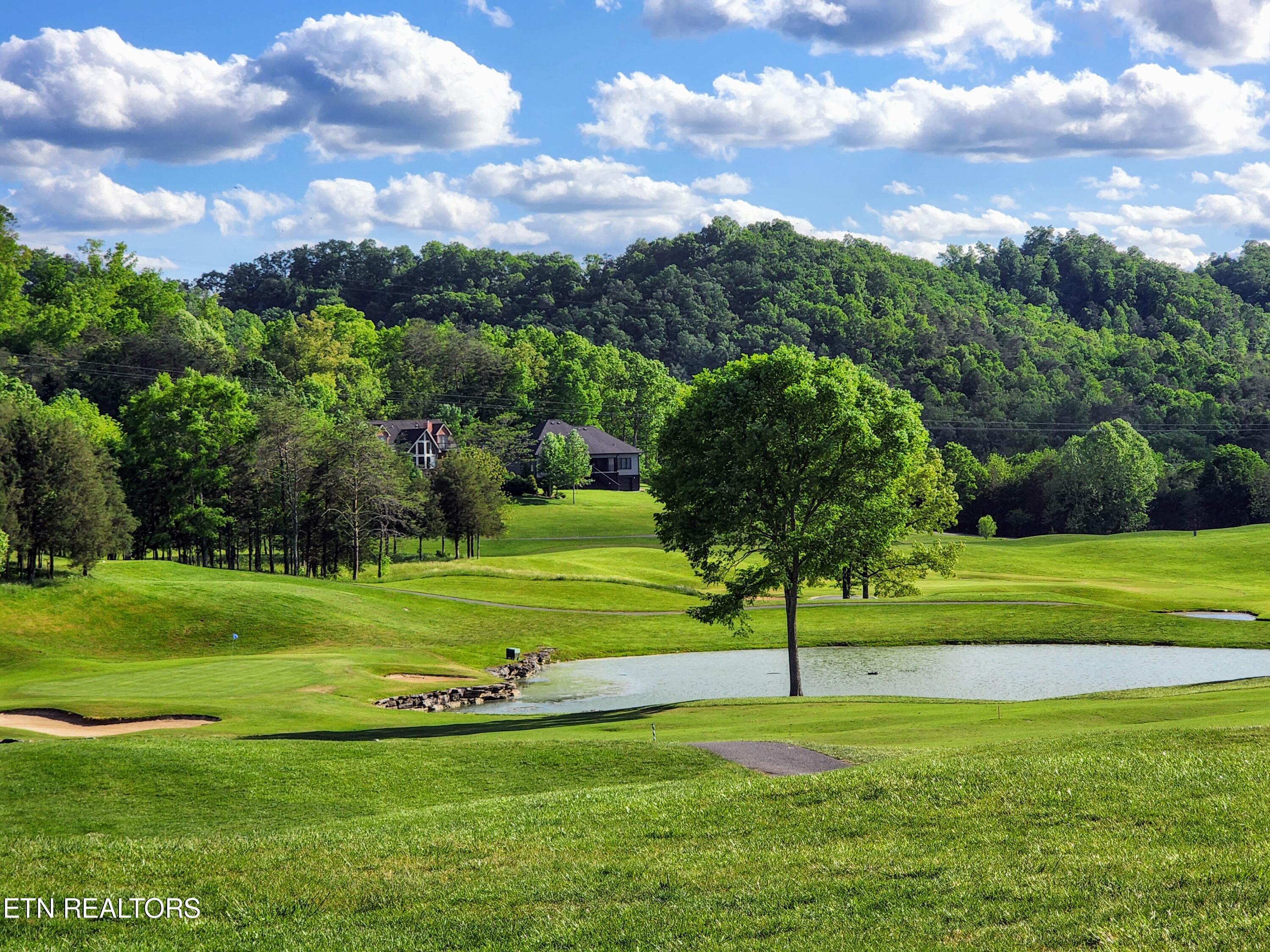 Norris Lake Real Estate - Image# 51