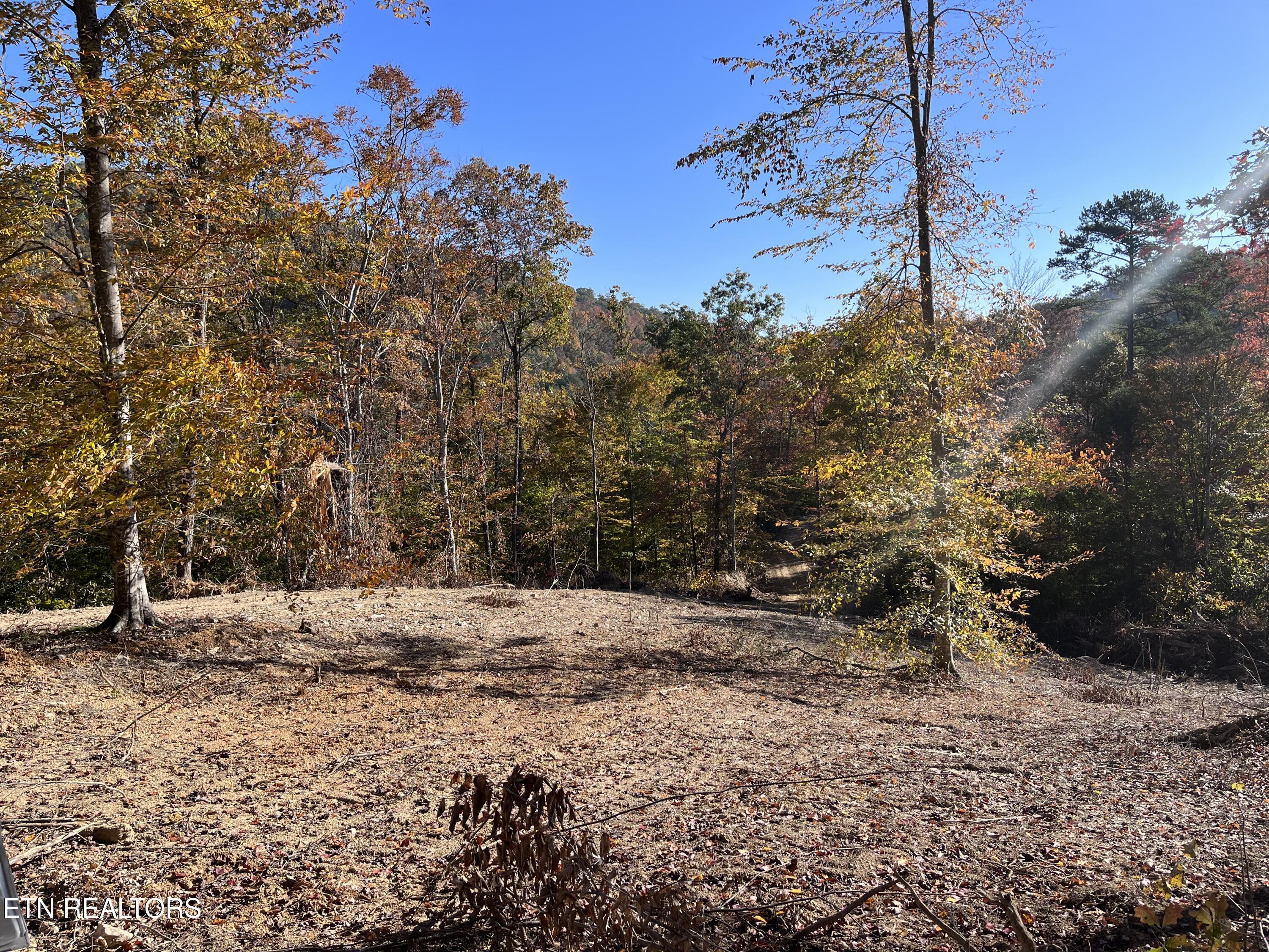 Norris Lake Real Estate - Image# 29