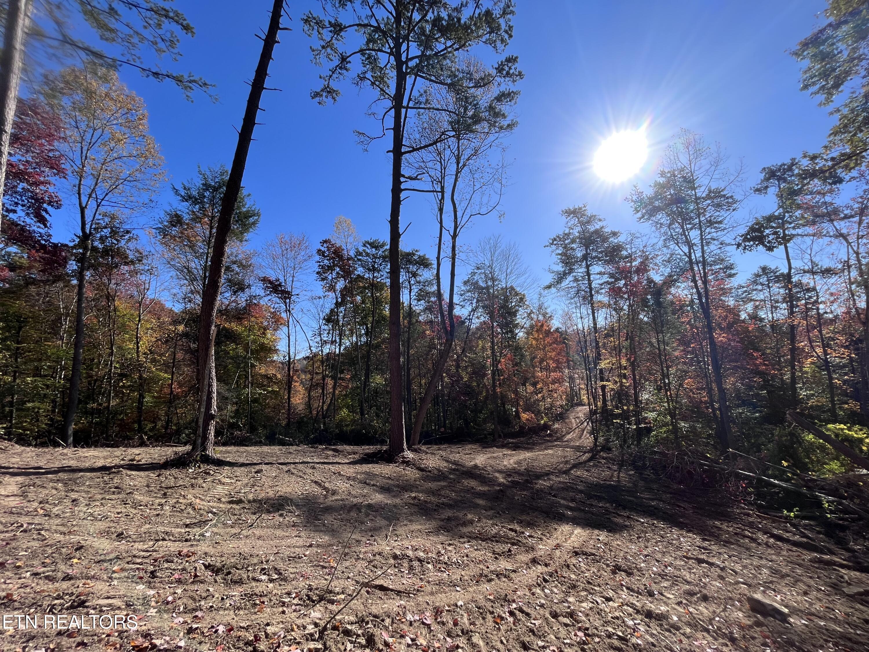 Norris Lake Real Estate - Image# 32