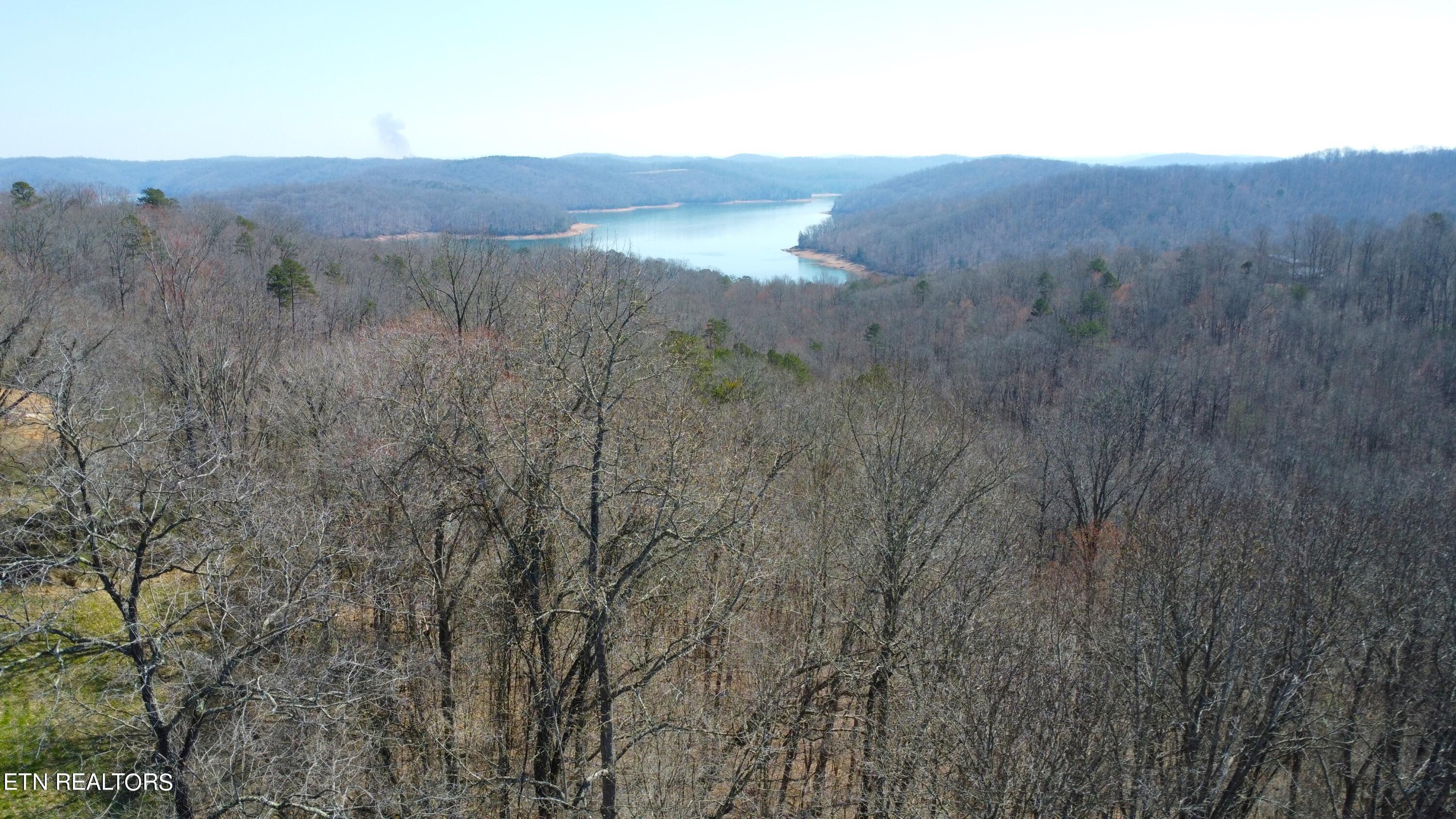 Norris Lake Real Estate - Image# 13