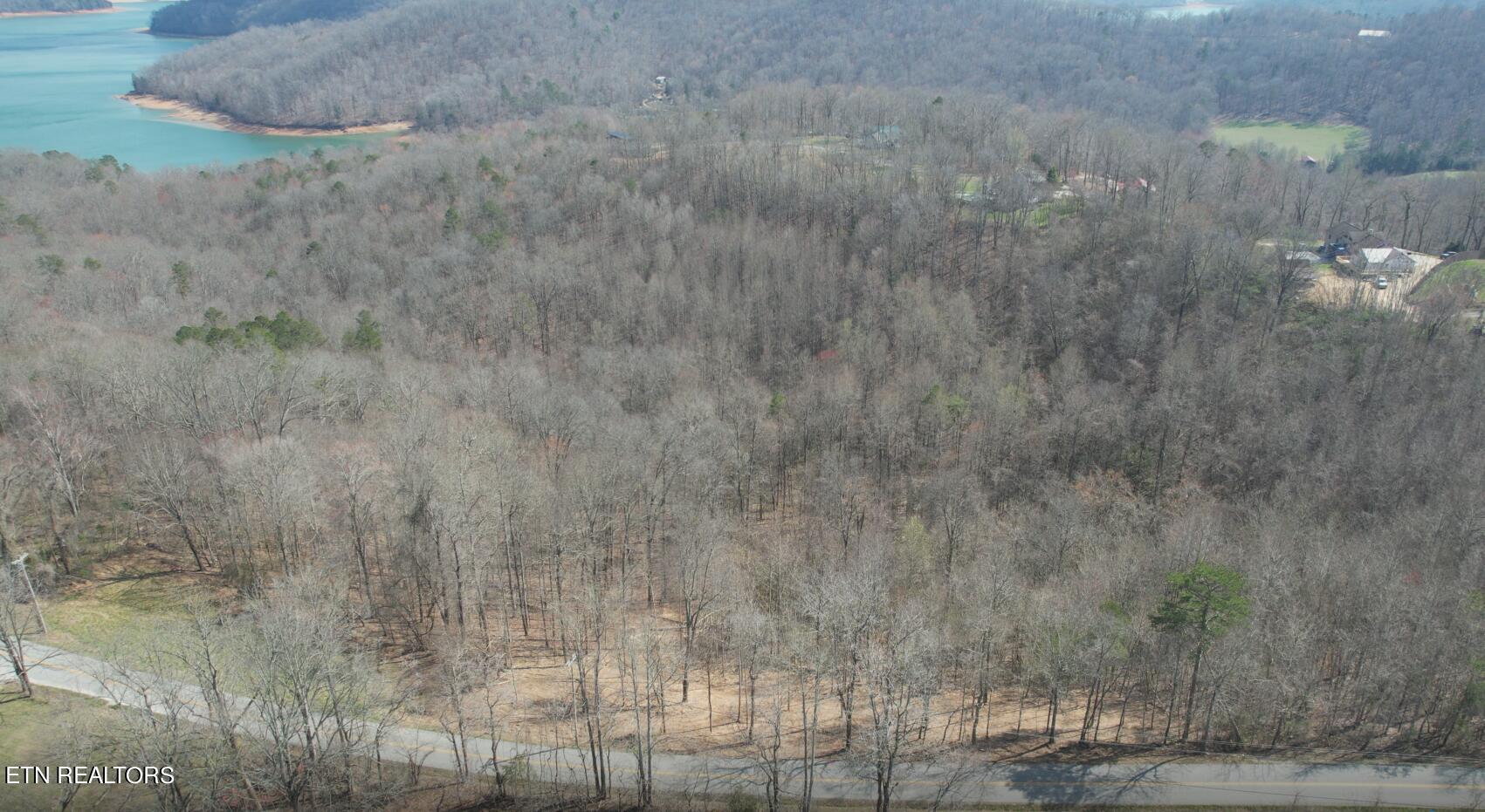 Norris Lake Real Estate - Image# 17