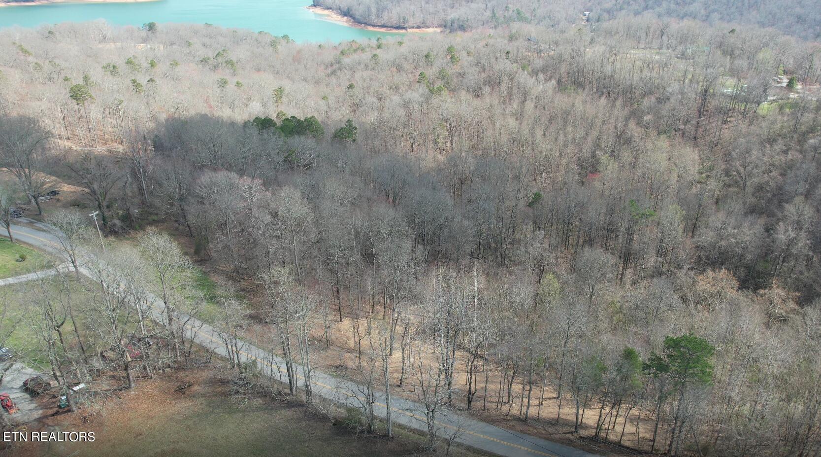 Norris Lake Real Estate - Image# 19