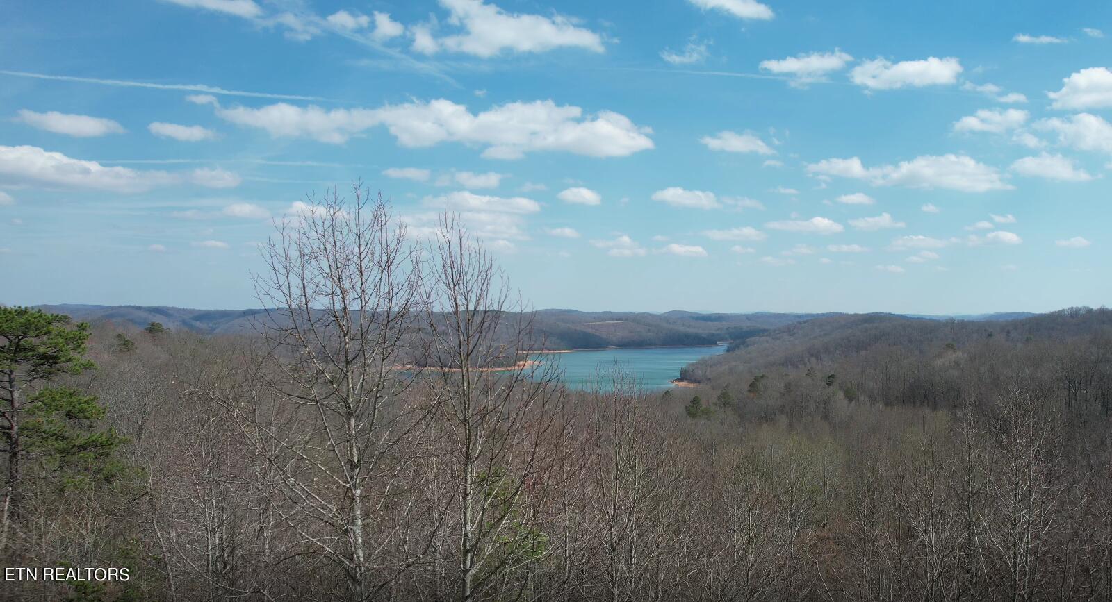 Norris Lake Real Estate - Image# 28