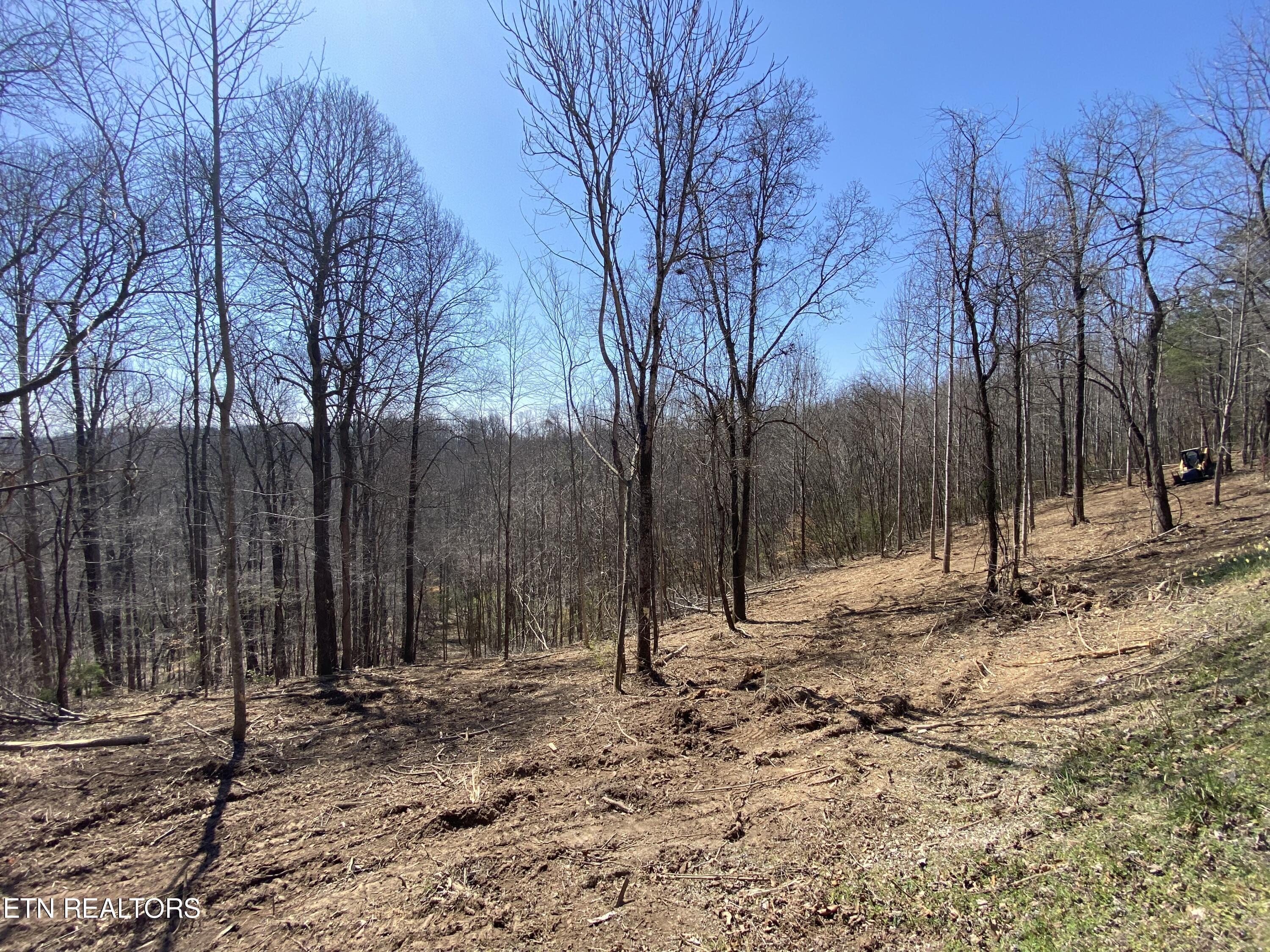 Norris Lake Real Estate - Image# 31