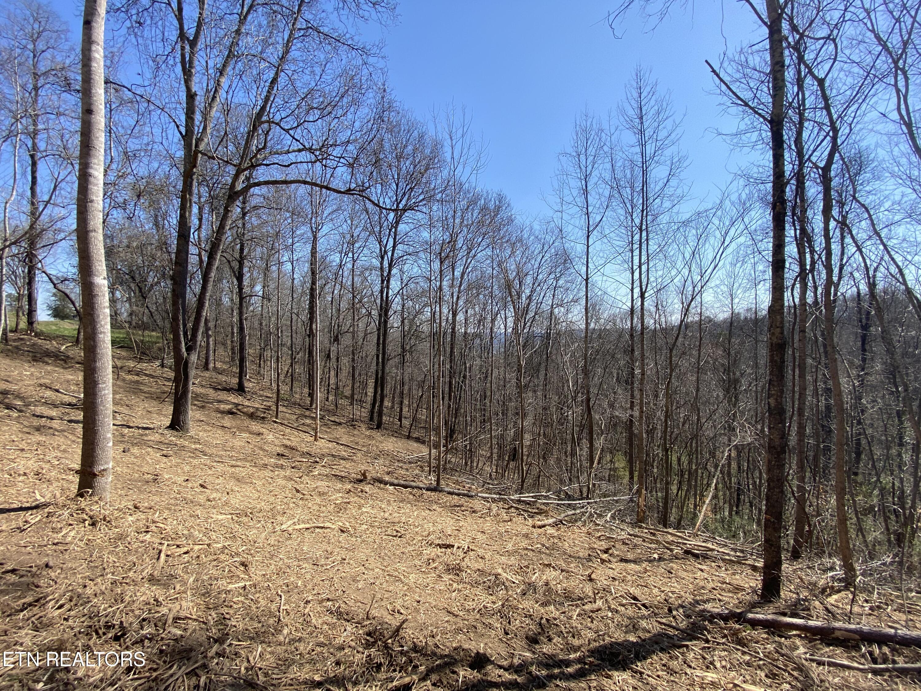 Norris Lake Real Estate - Image# 35