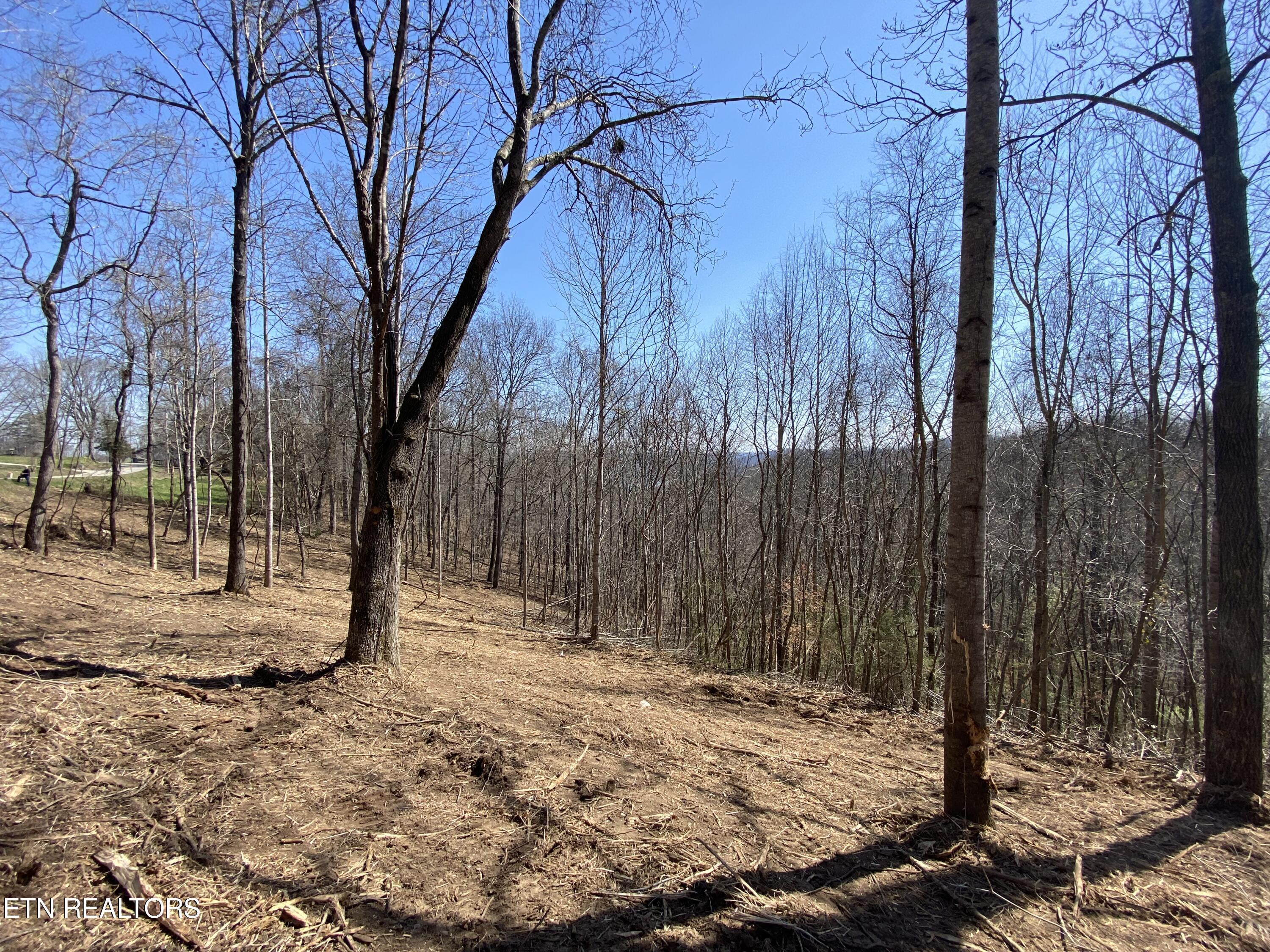 Norris Lake Real Estate - Image# 36