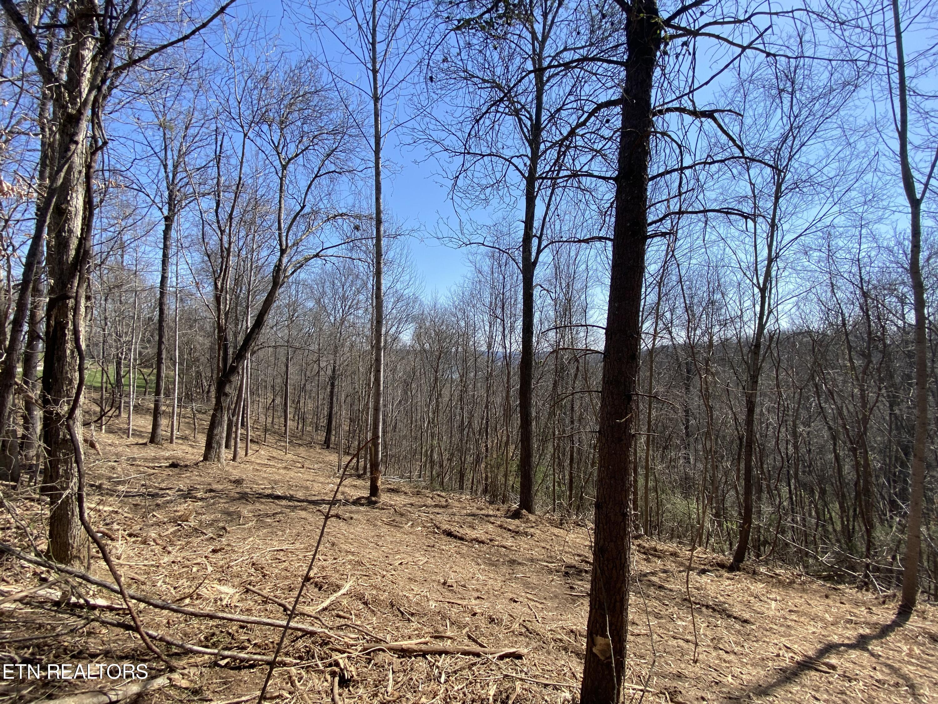 Norris Lake Real Estate - Image# 37