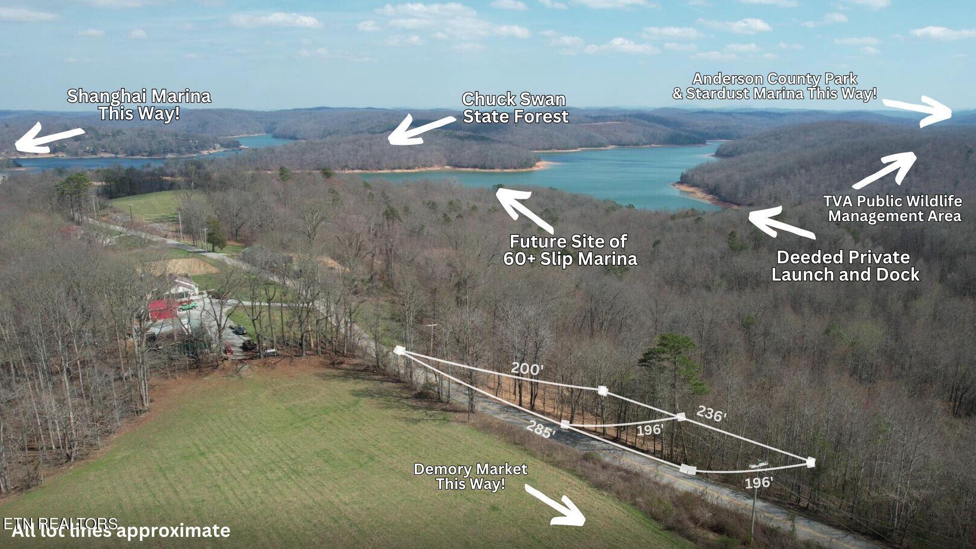 Norris Lake Real Estate - Image# 7