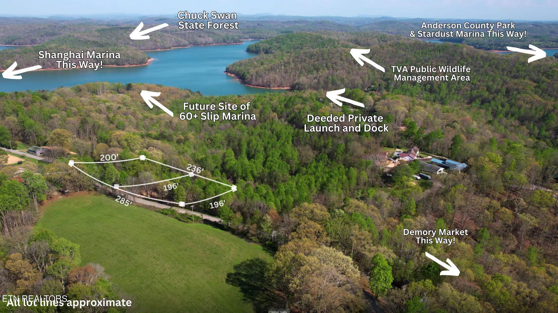 Norris Lake Real Estate - Image# 2