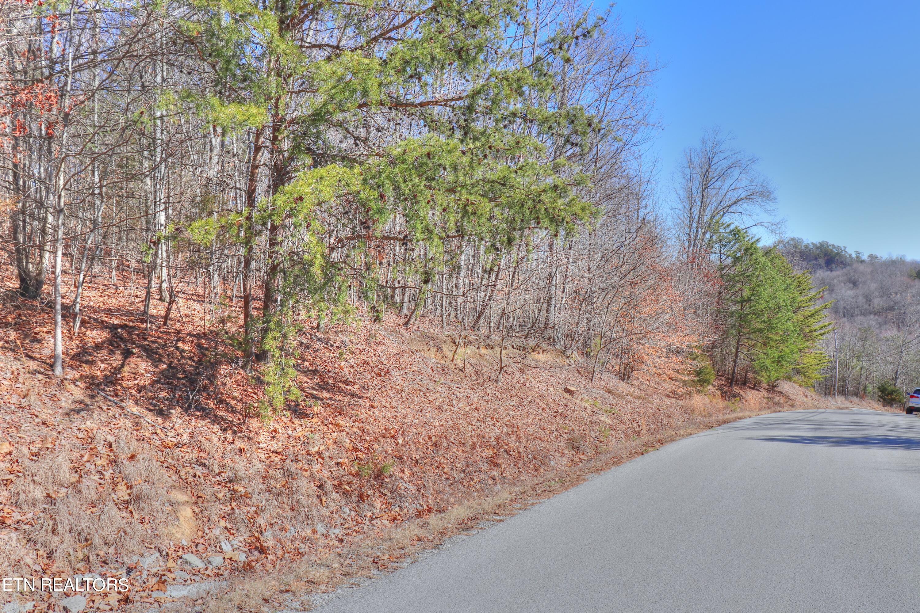 Norris Lake Real Estate - Image# 4