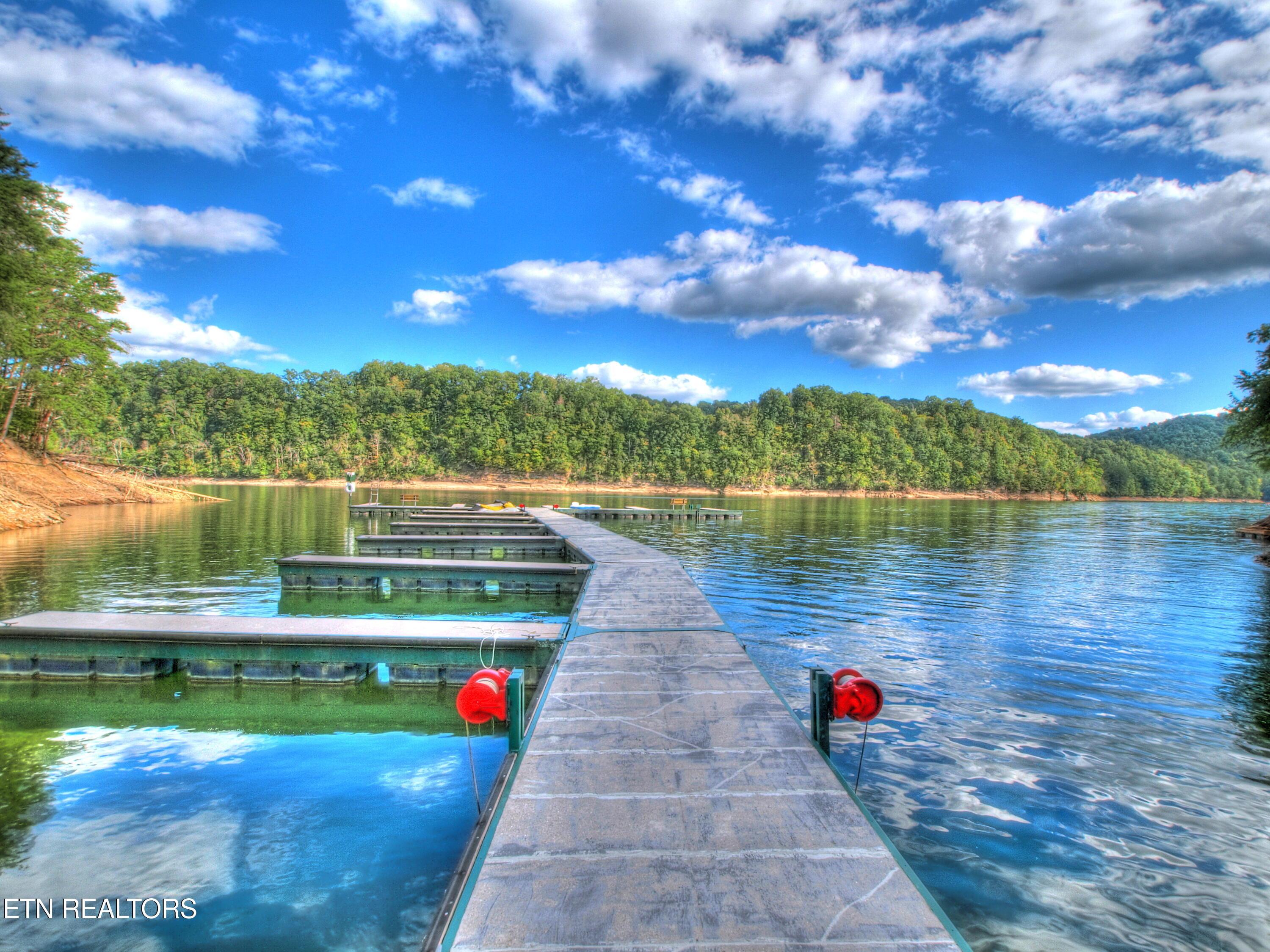 Norris Lake Real Estate - Image# 27